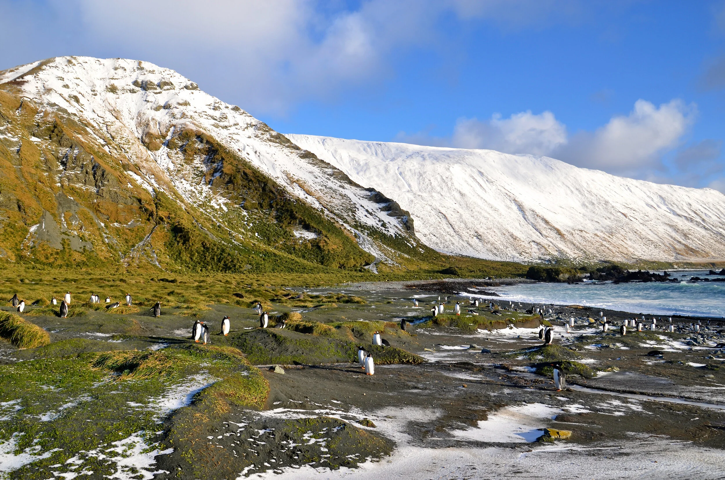 M154 - West coast of the Isthmus - July 2013