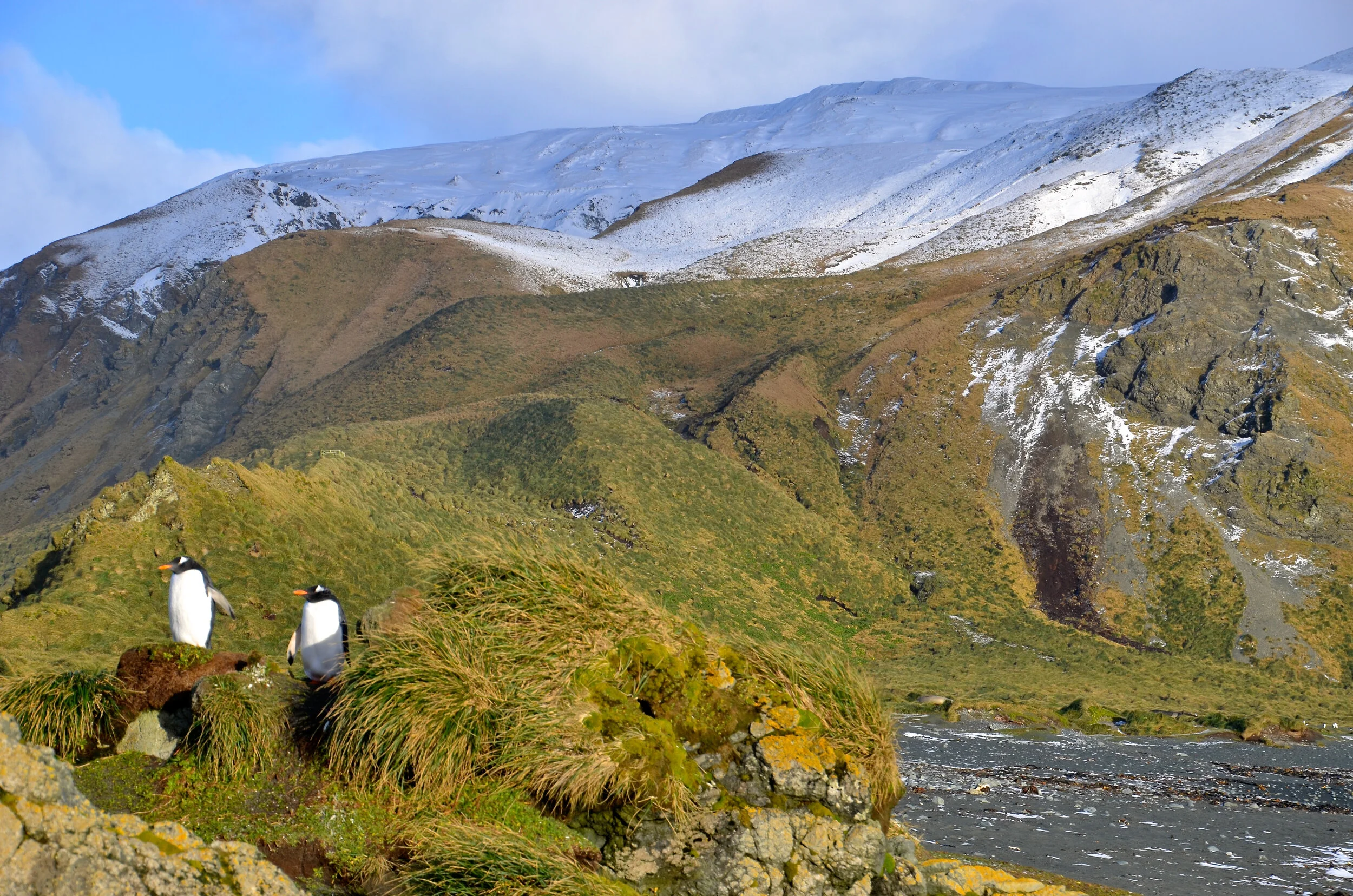 M155 - View of the Plateau from the Isthmus - July 2013