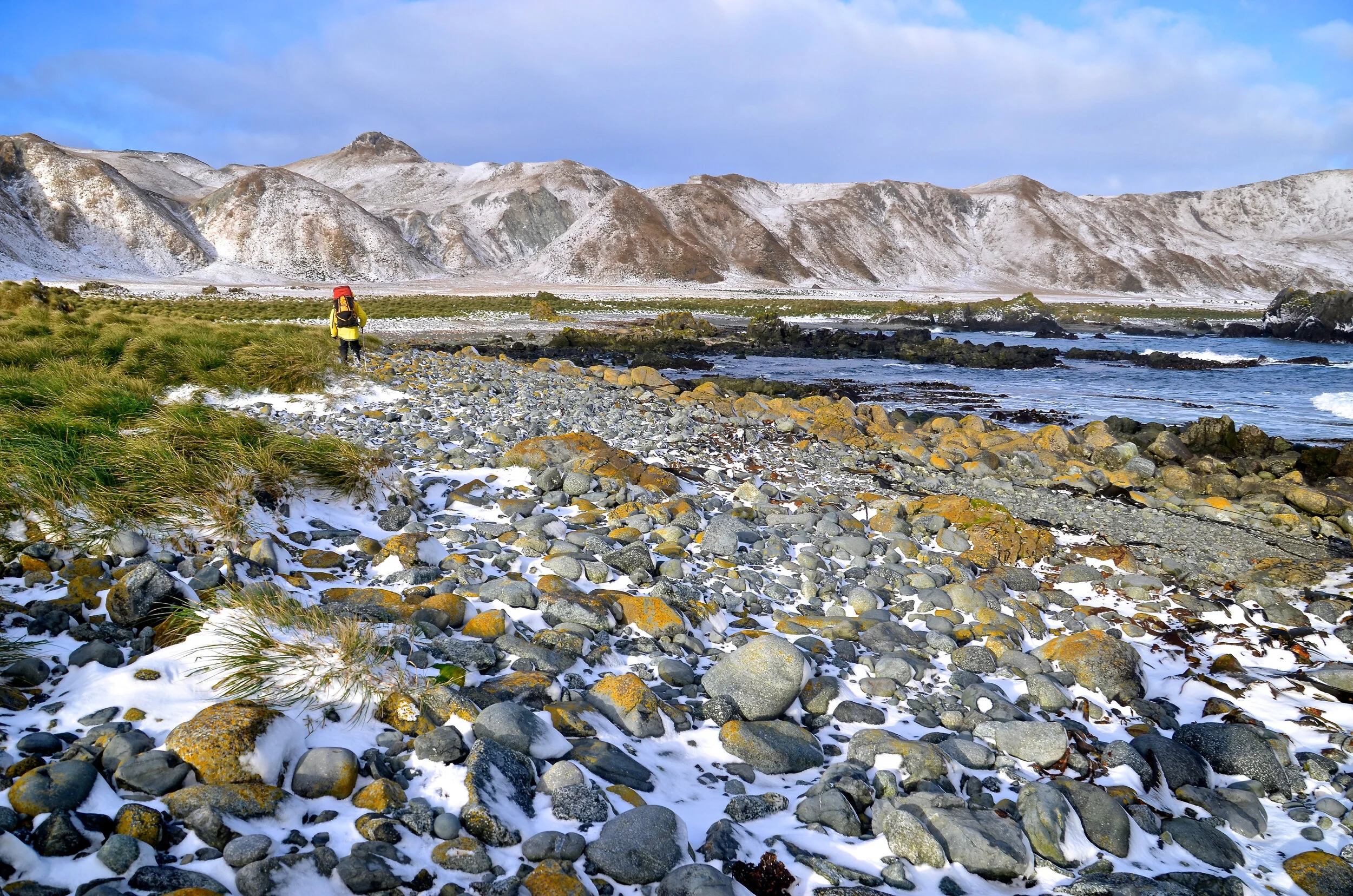 M167 - Walking with Clive along the west coast near Langdon Bay - July 2013