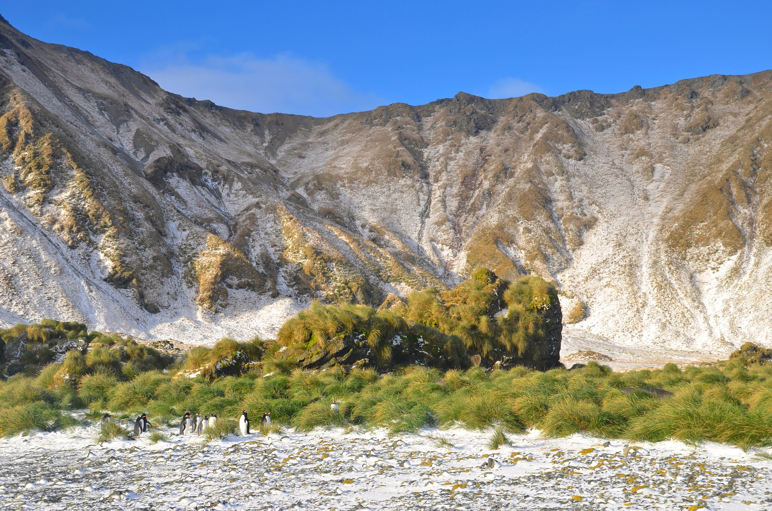 M168 - View from the beach near Bauer Bay on the west coast - July 2013