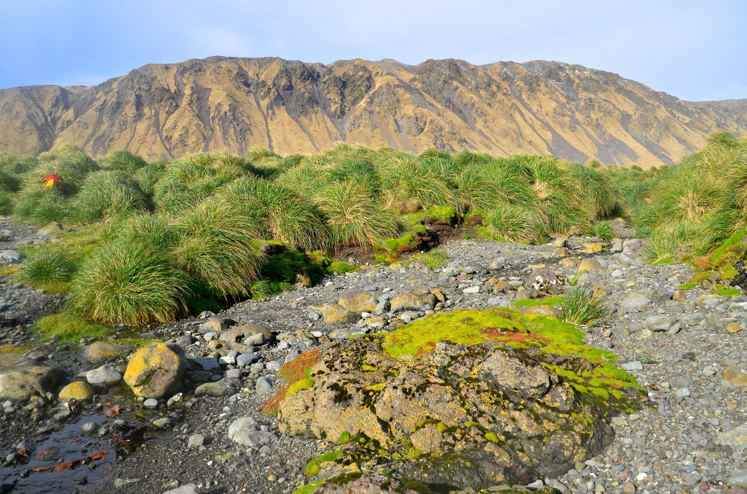 M182 - Taking part in a marine debris clean up of the coastal plain near Duck Lagoon on the west coast - August 2013