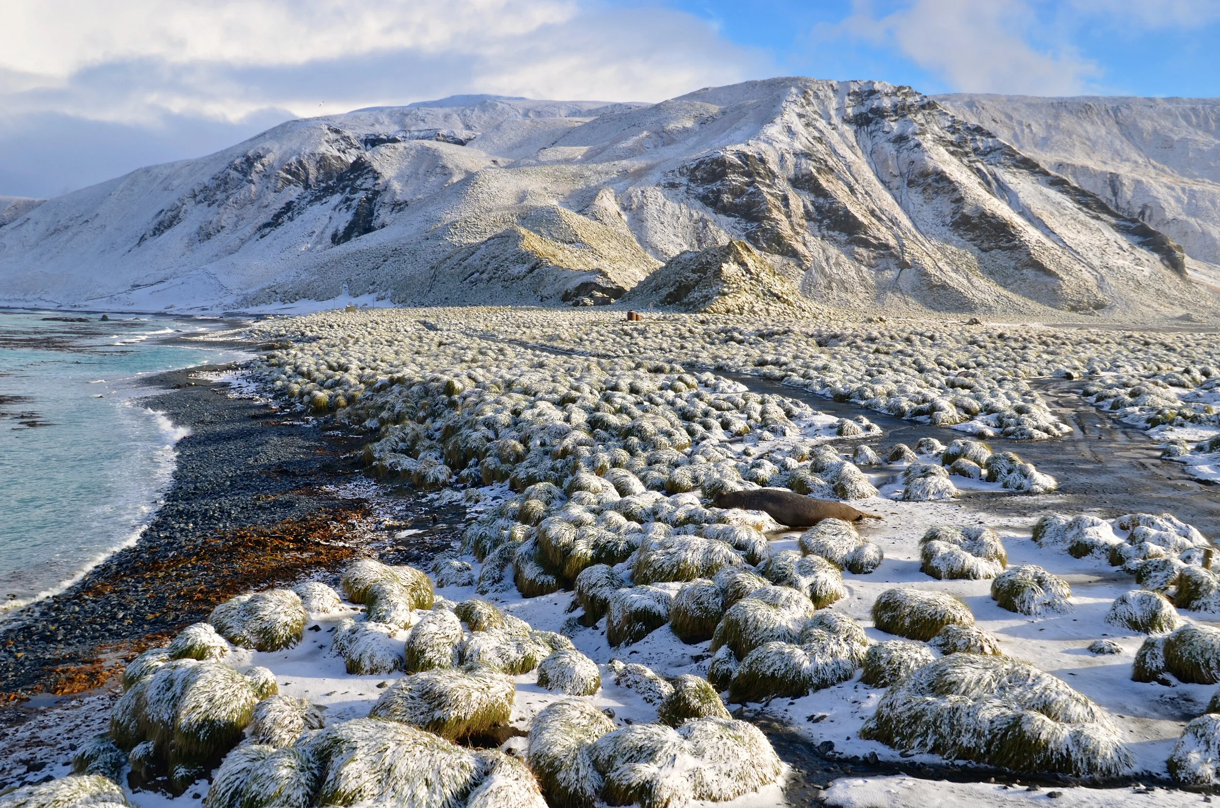M189 - Snowfall on the Isthmus - September 2013
