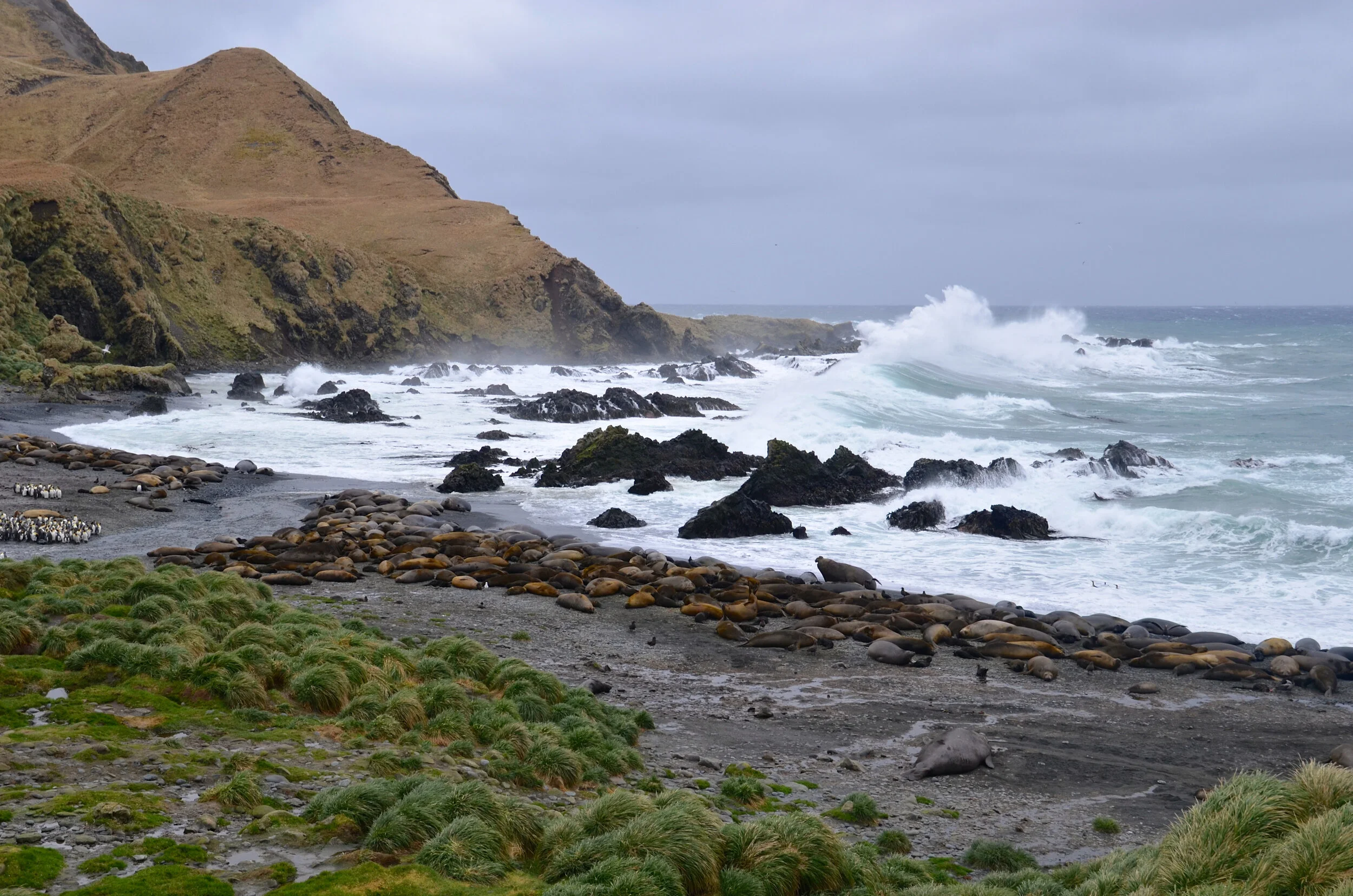 M209 - Big east coast swells at Green Gorge - October 2013