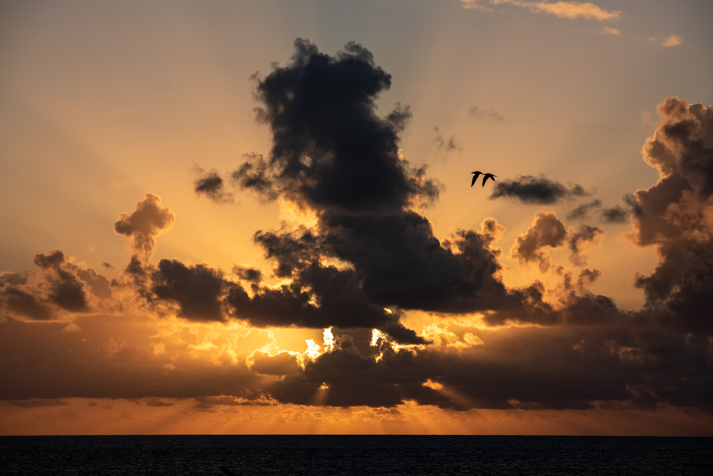  November 2018 - Spectacular sunset featuring crepuscular rays 