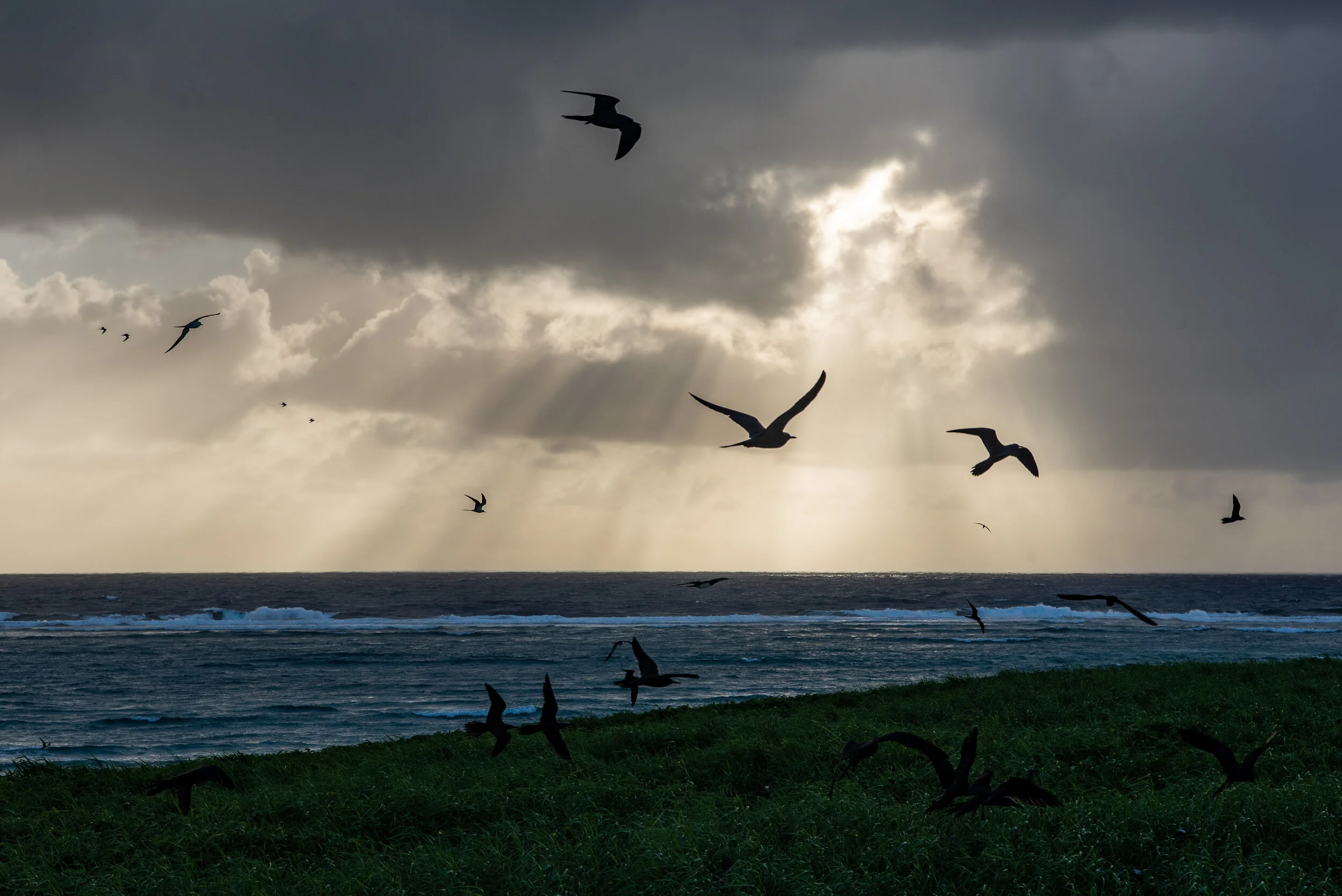  February 2019 - Early morning crepuscular rays. 