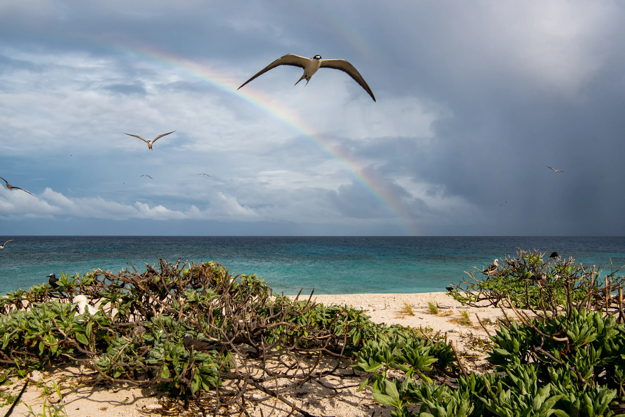  March 2019 - Beautiful early morning stroll around the island. 
