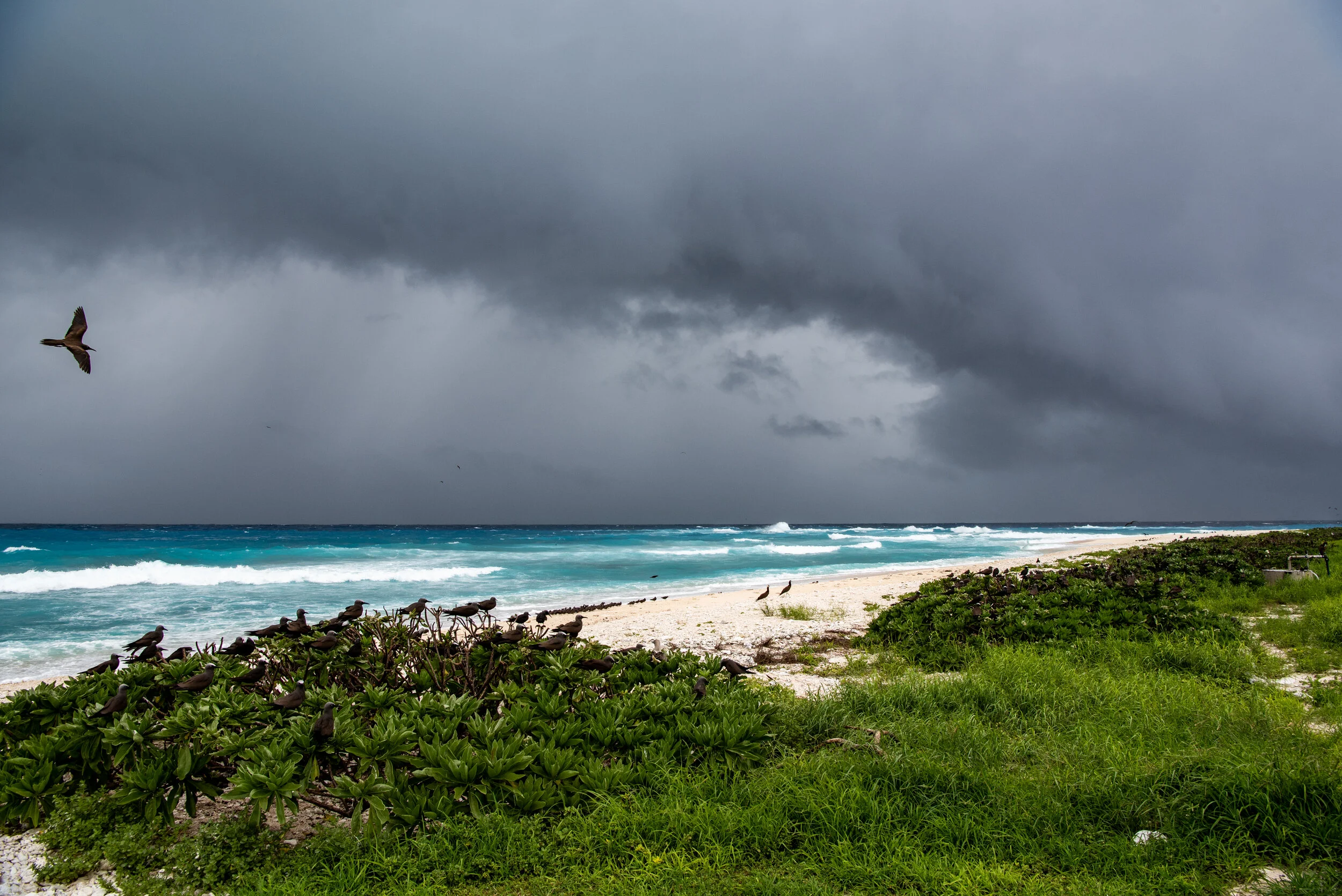  February 2019 - Squall line approaching from the Southeast 
