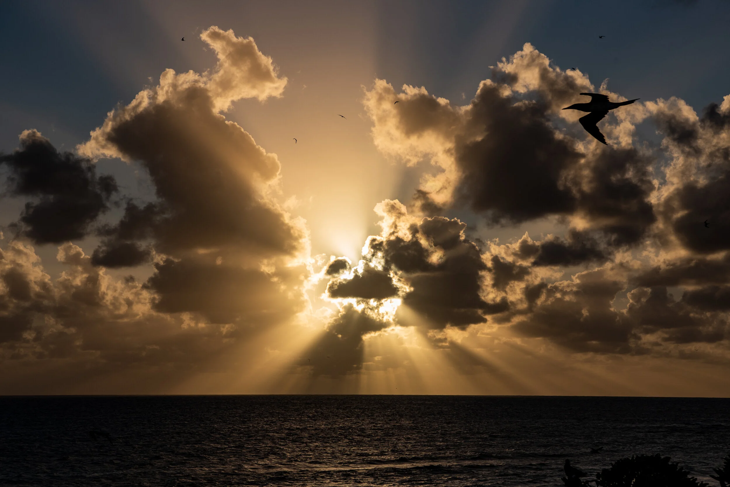 February 2019 - Spectacular Crepuscular Rays 