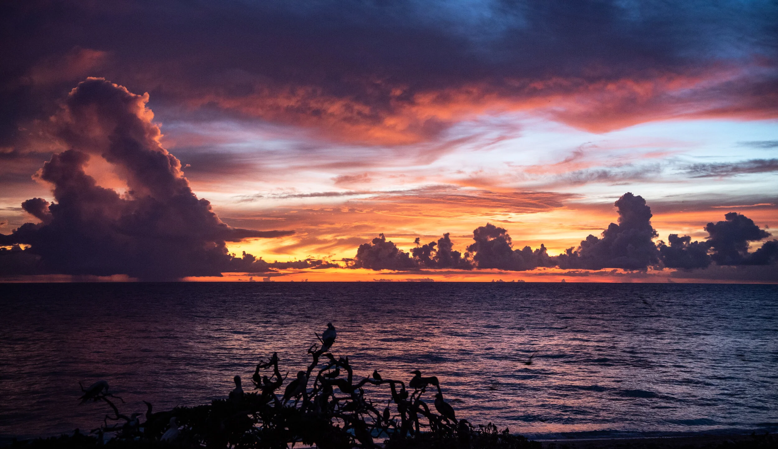  December 2018 -  Christmas sunset - Santa Clause on his sleigh pulled by reindeer 