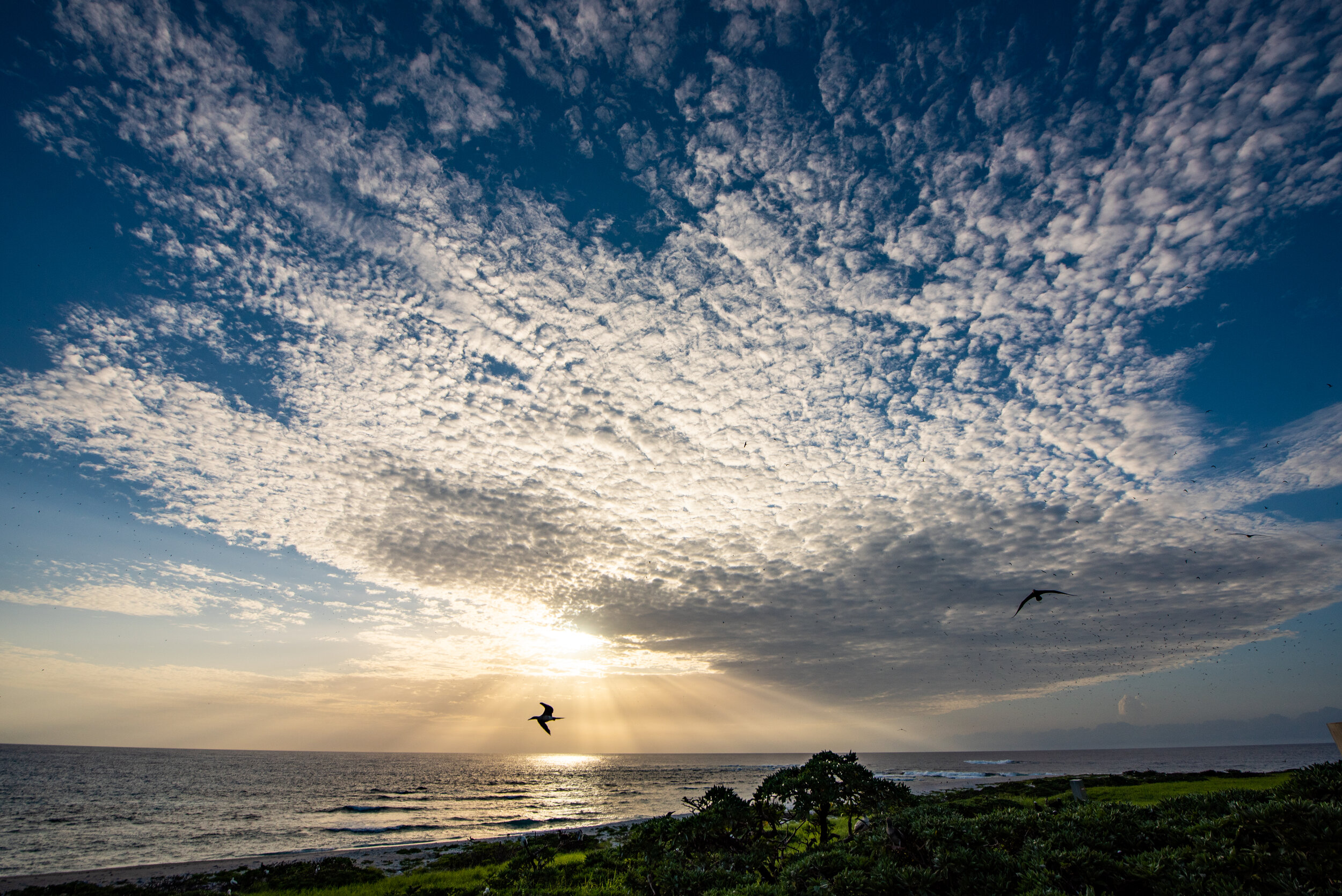  February 2019 - Altocumulus at sunset 
