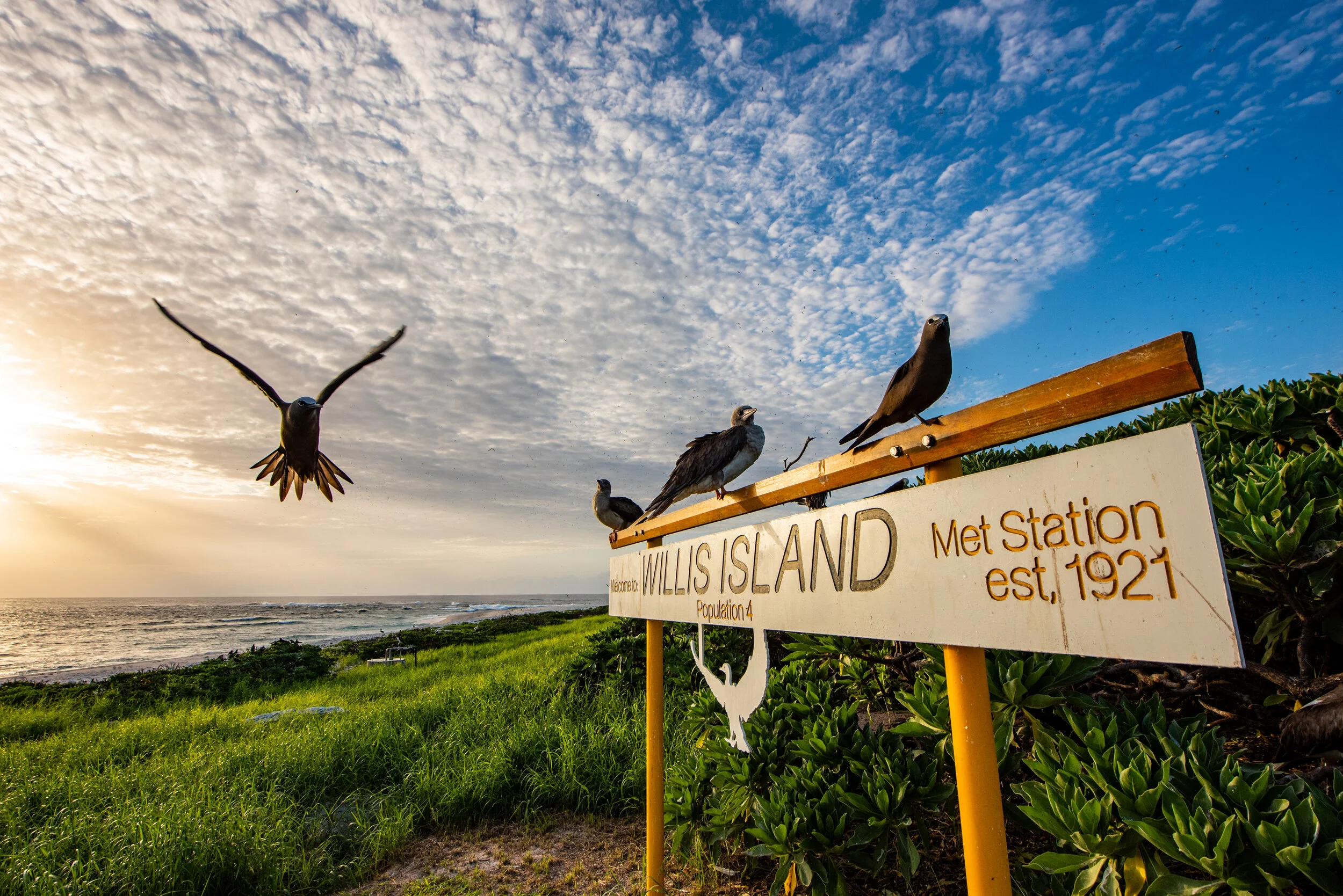  February 2019 - Welcome to Willis Island 