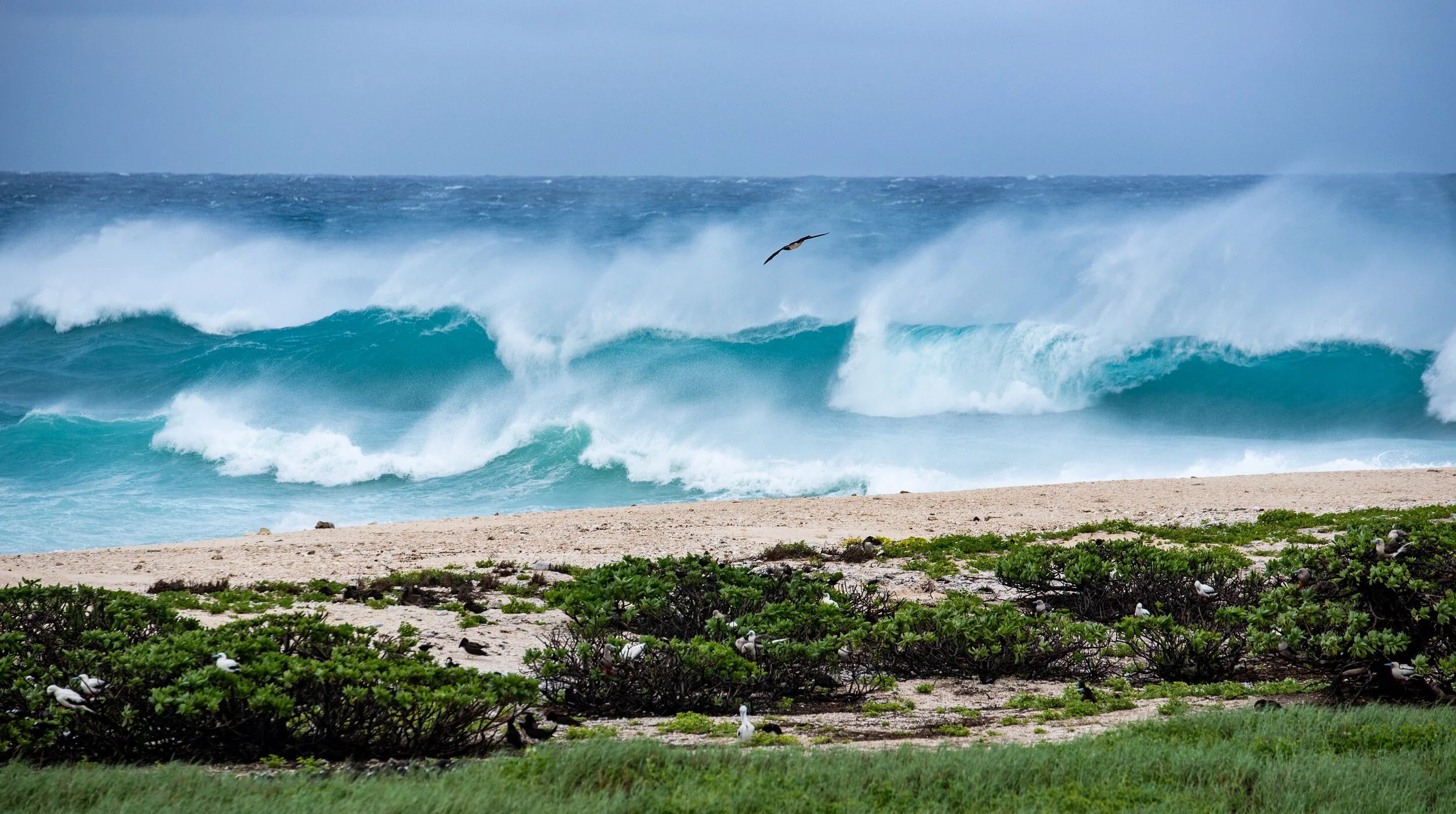  January 2019 - Big swells whipped up by Tropical Cyclone Penny as it passed to the north of Willis Island  