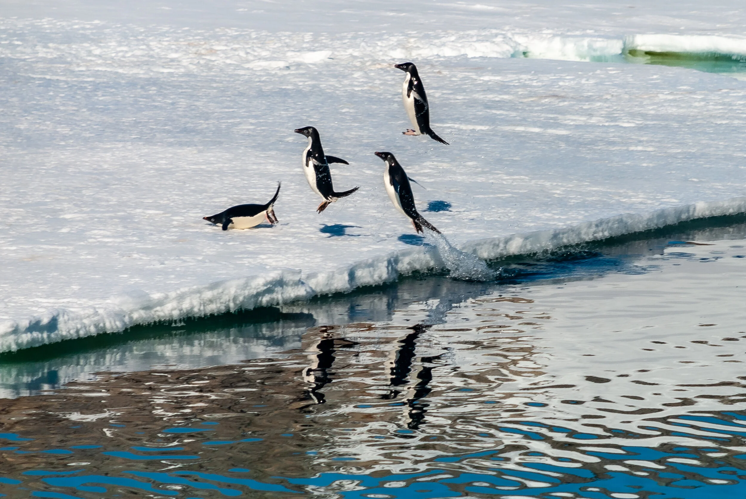 34 - 2007/08 Australian Antarctic summer season - Casey Station