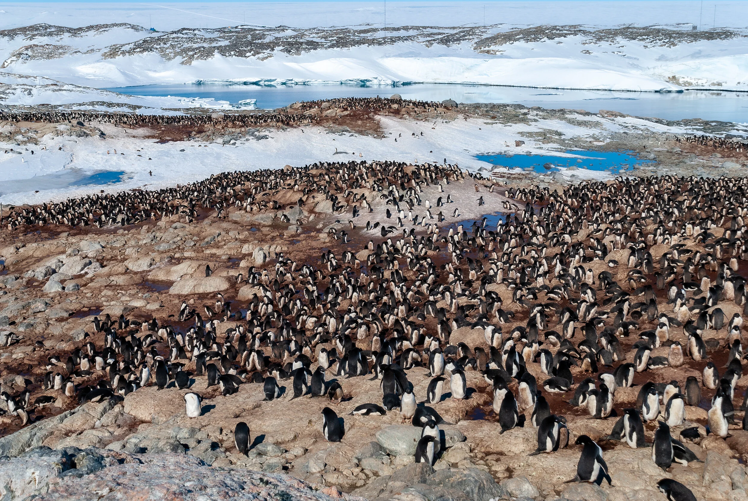 37 - 2007/08 Australian Antarctic summer season - Casey Station