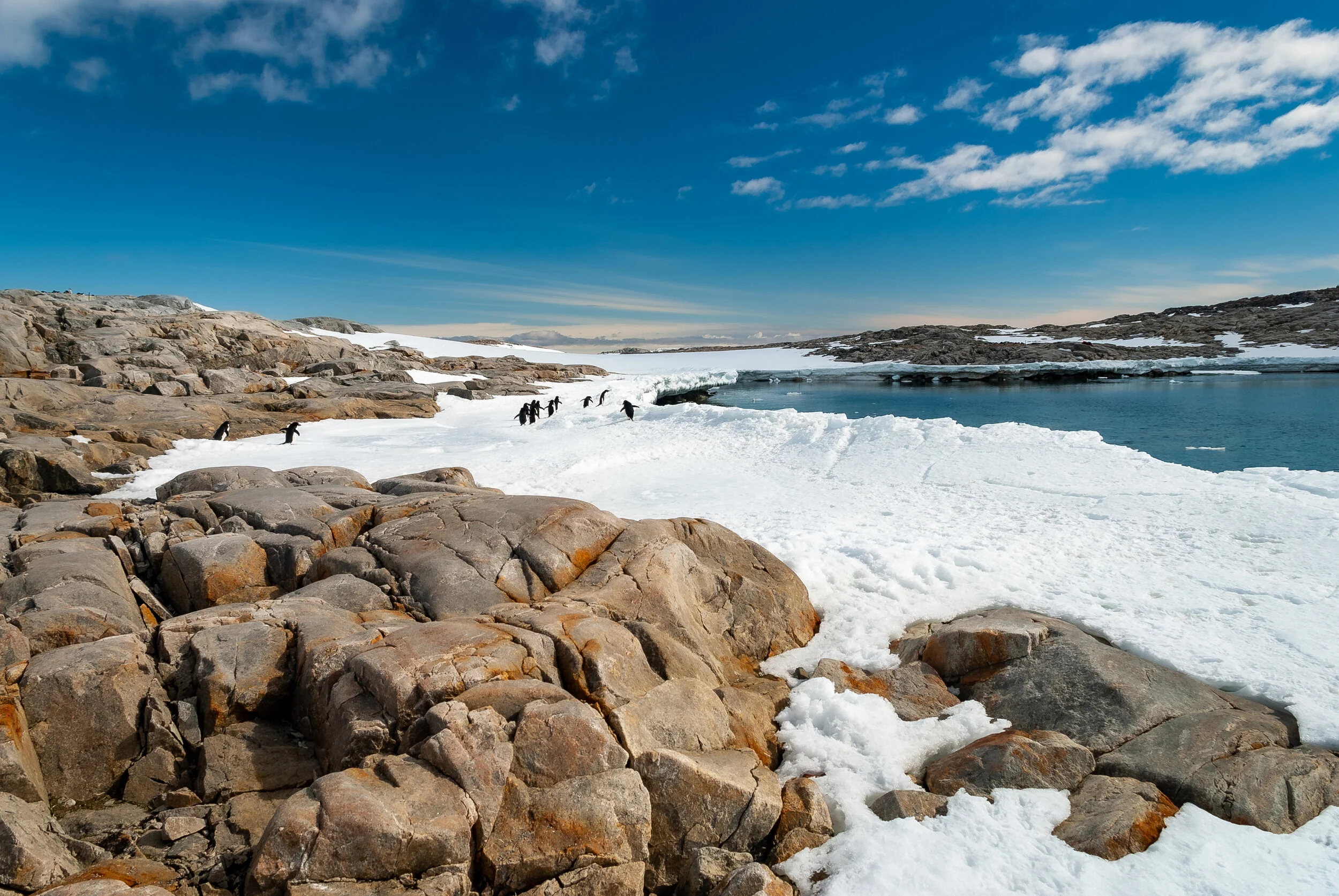 50 - 2007/08 Australian Antarctic summer season - Casey Station