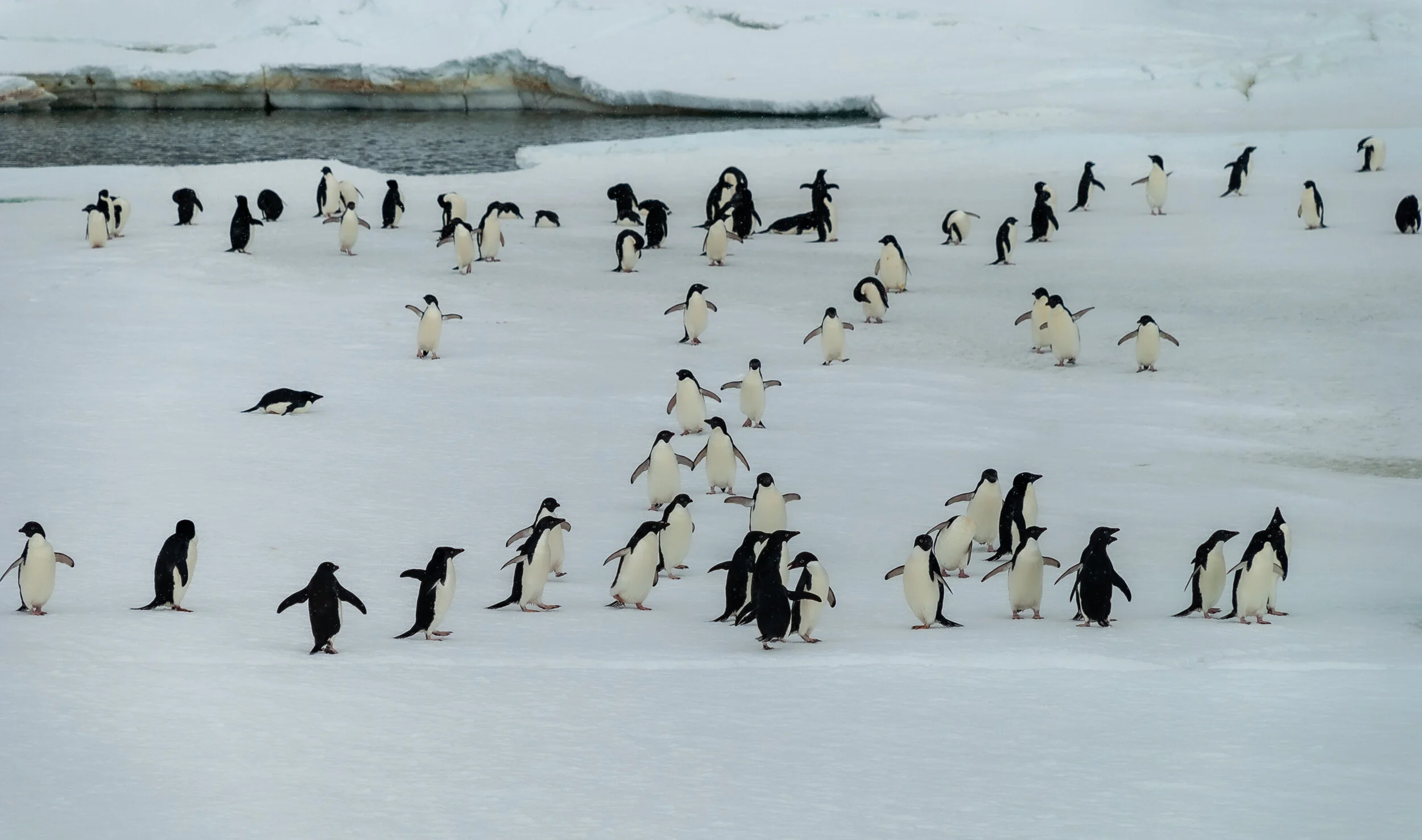 52 - 2007/08 Australian Antarctic summer season - Casey Station