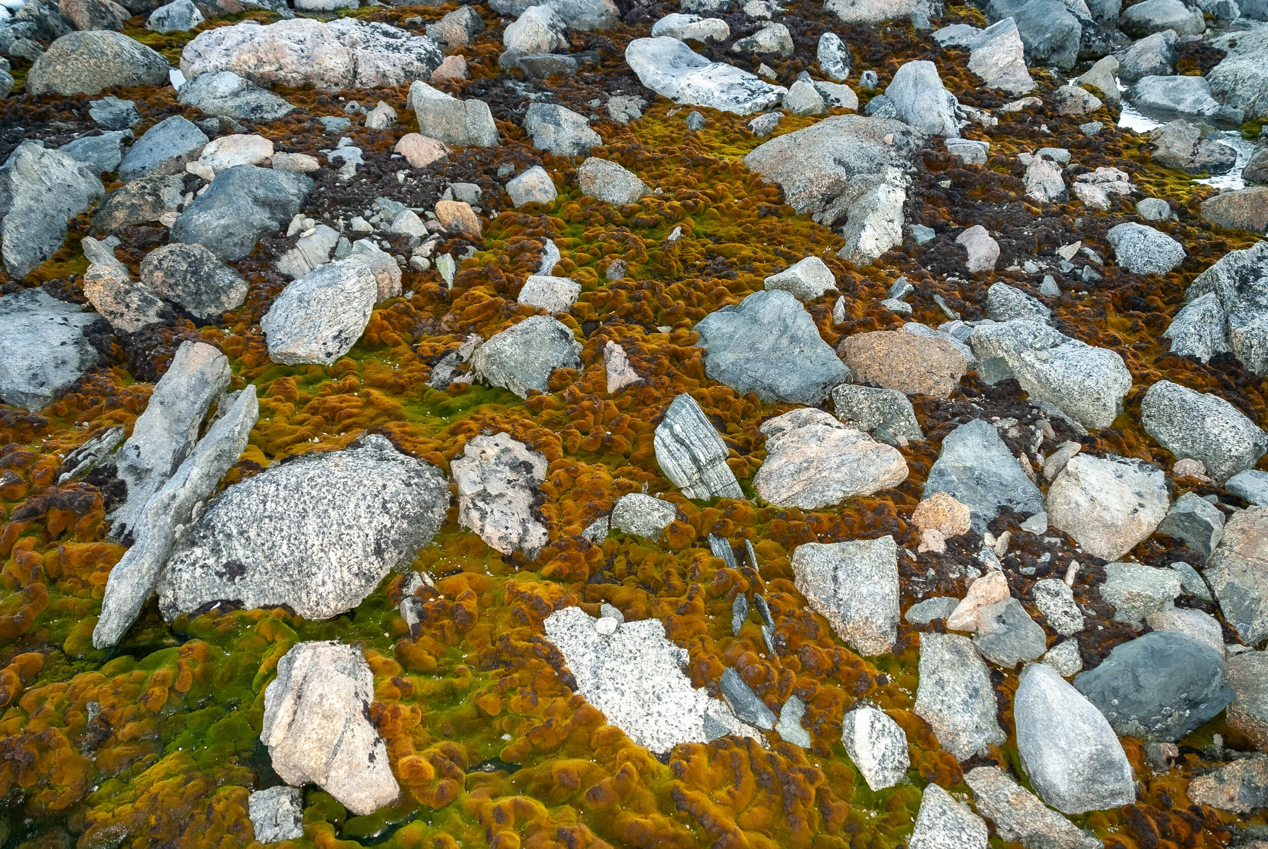 68 - 2007/08 Australian Antarctic summer season - Casey Station