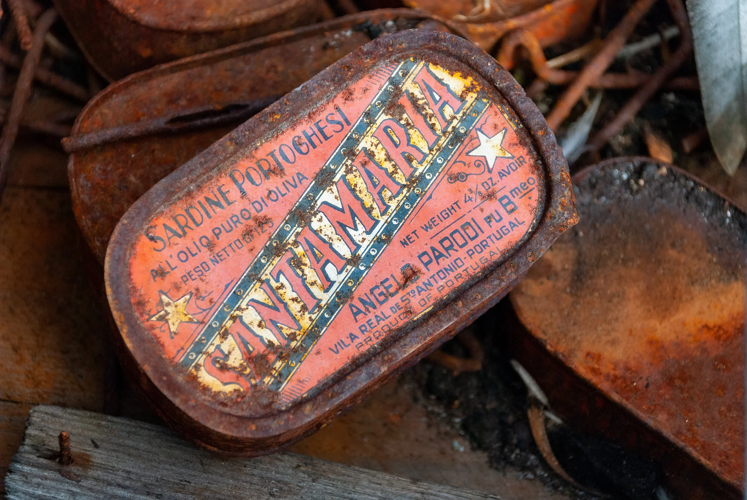 77 - 2007/08 Australian Antarctic summer season - Wilkes Station