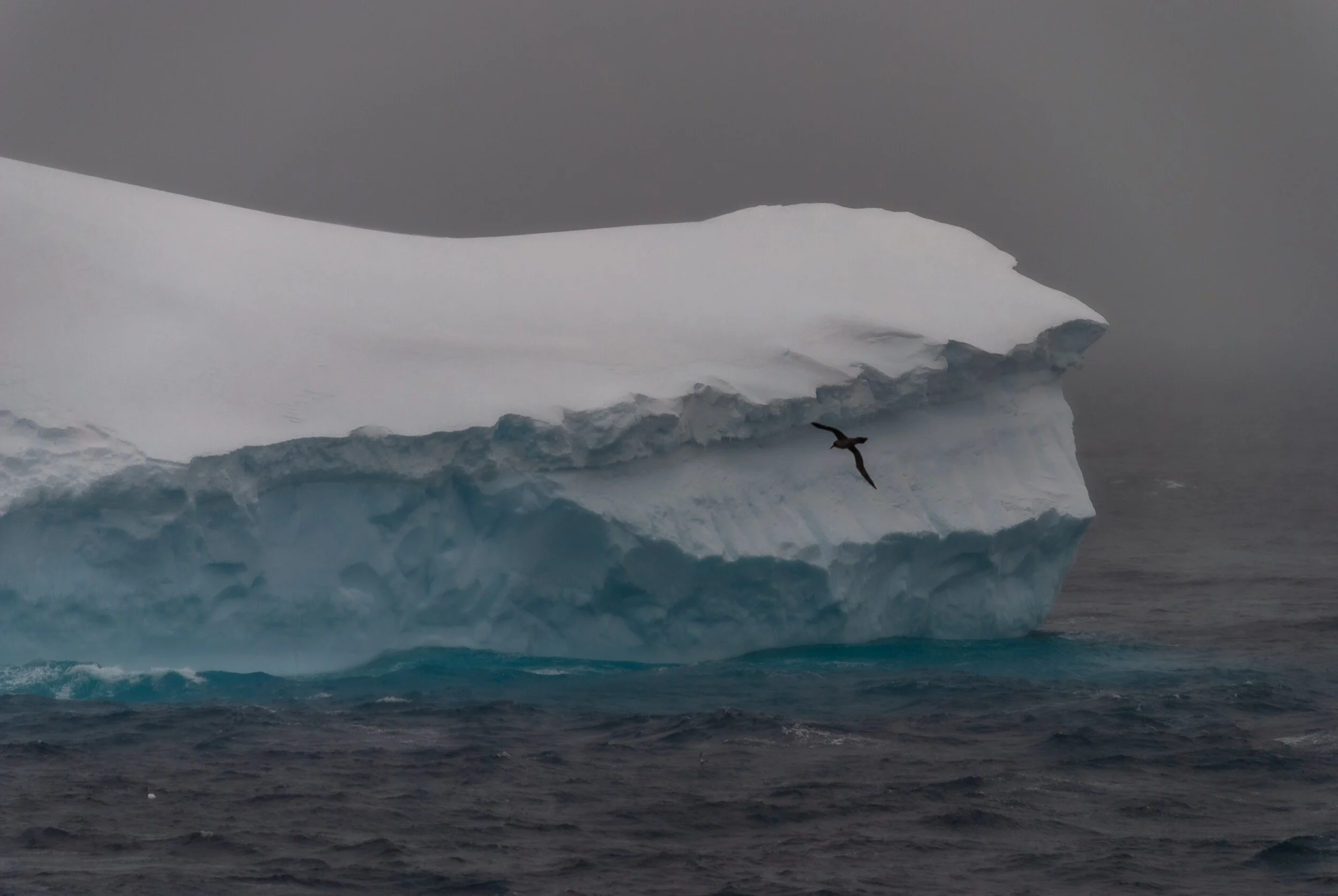 11 - V4 on the Aurora Australis: Casey to Davis - Iceberg tour