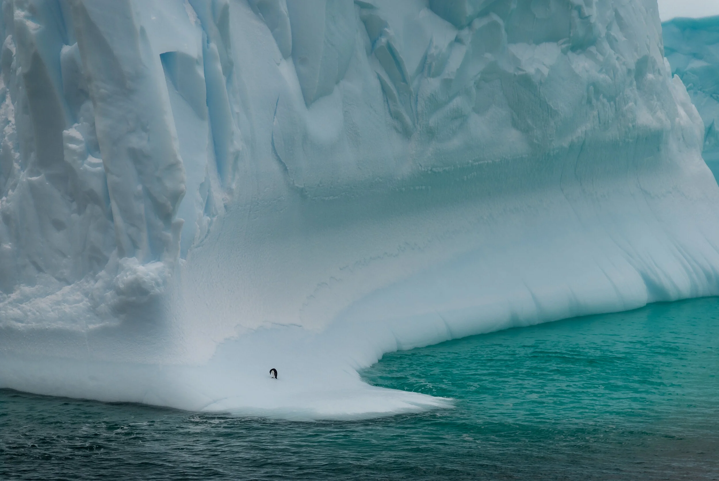 20 - V4 on the Aurora Australis: Casey to Davis - Iceberg tour
