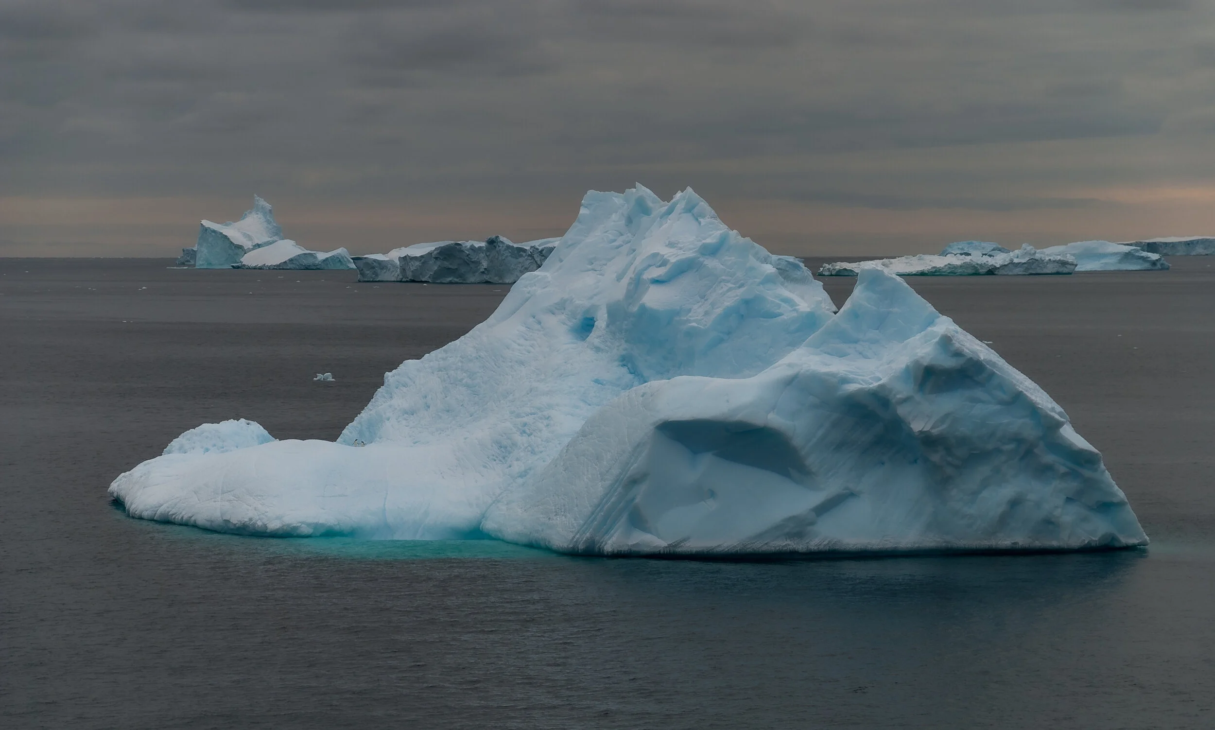24 - V4 on the Aurora Australis: Casey to Davis - Iceberg tour