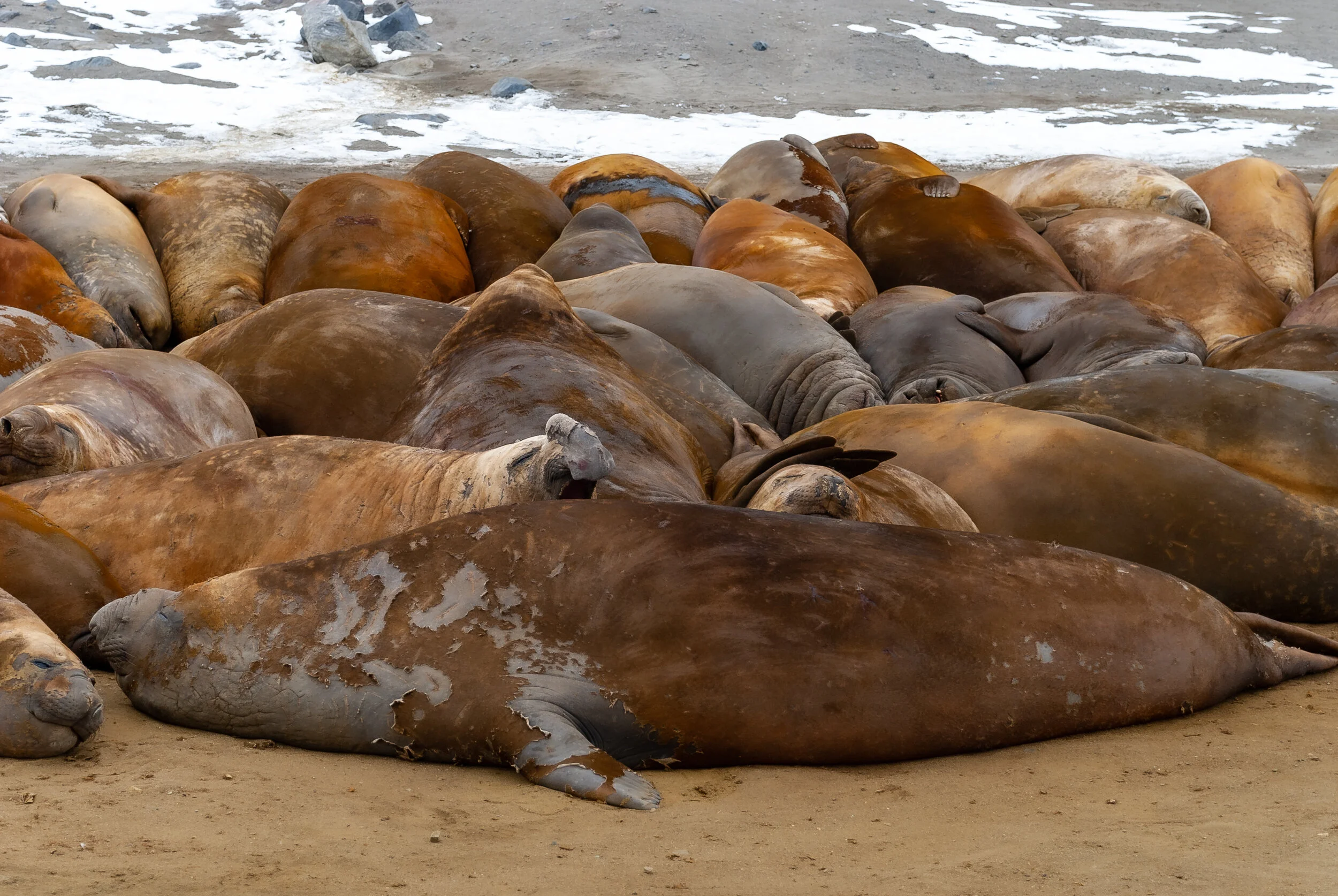 31 - V4 on the Aurora Australis: Davis retrieval of cargo and summer personnel