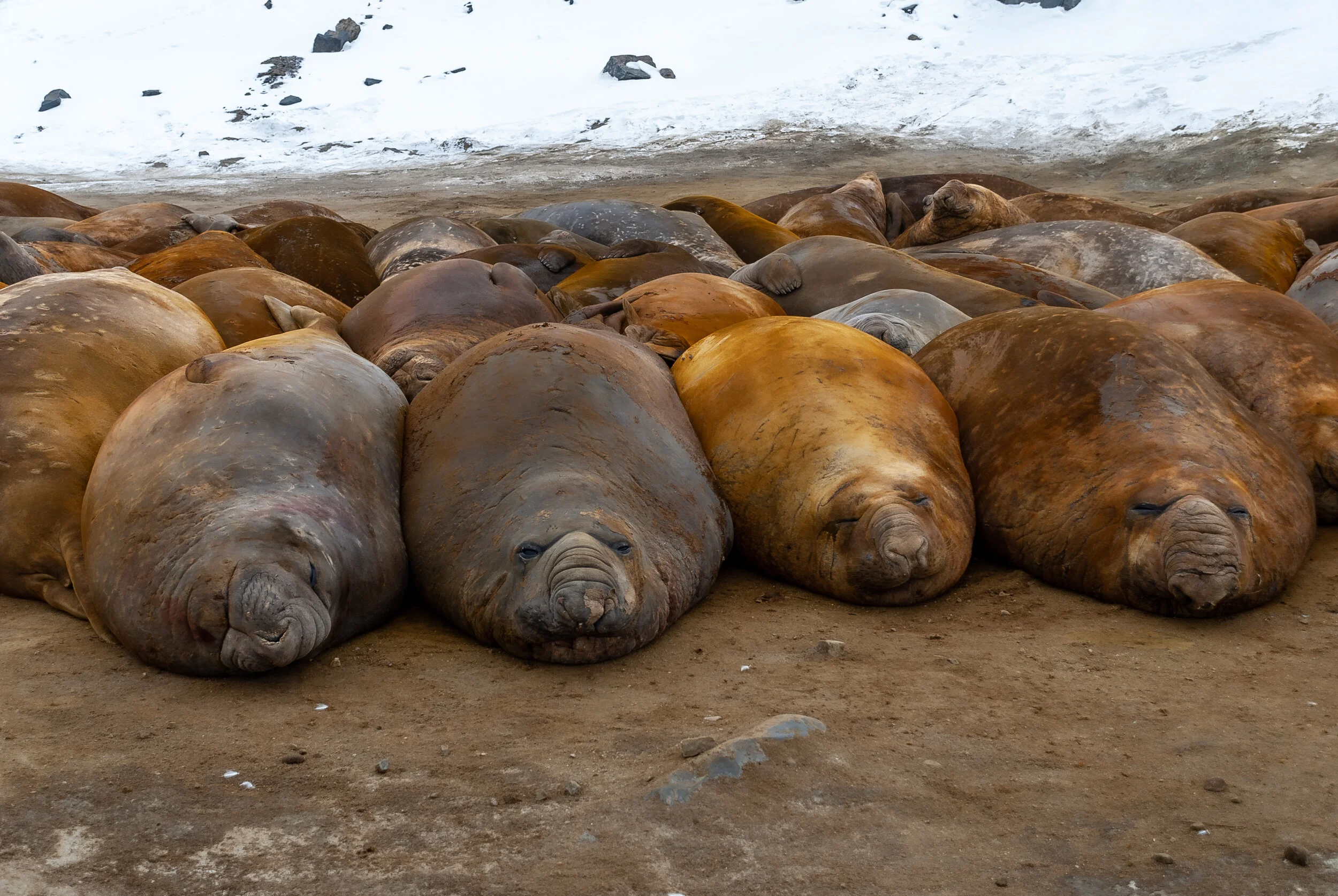 32 - V4 on the Aurora Australis: Davis retrieval of cargo and summer personnel