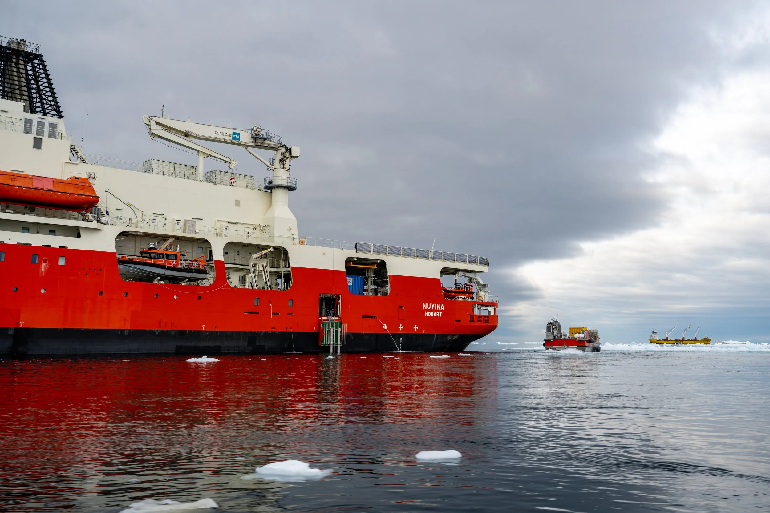C37 - The new RSV Nuyina in Newcomb Bay refuelling Casey with the Happy Dragon in the background