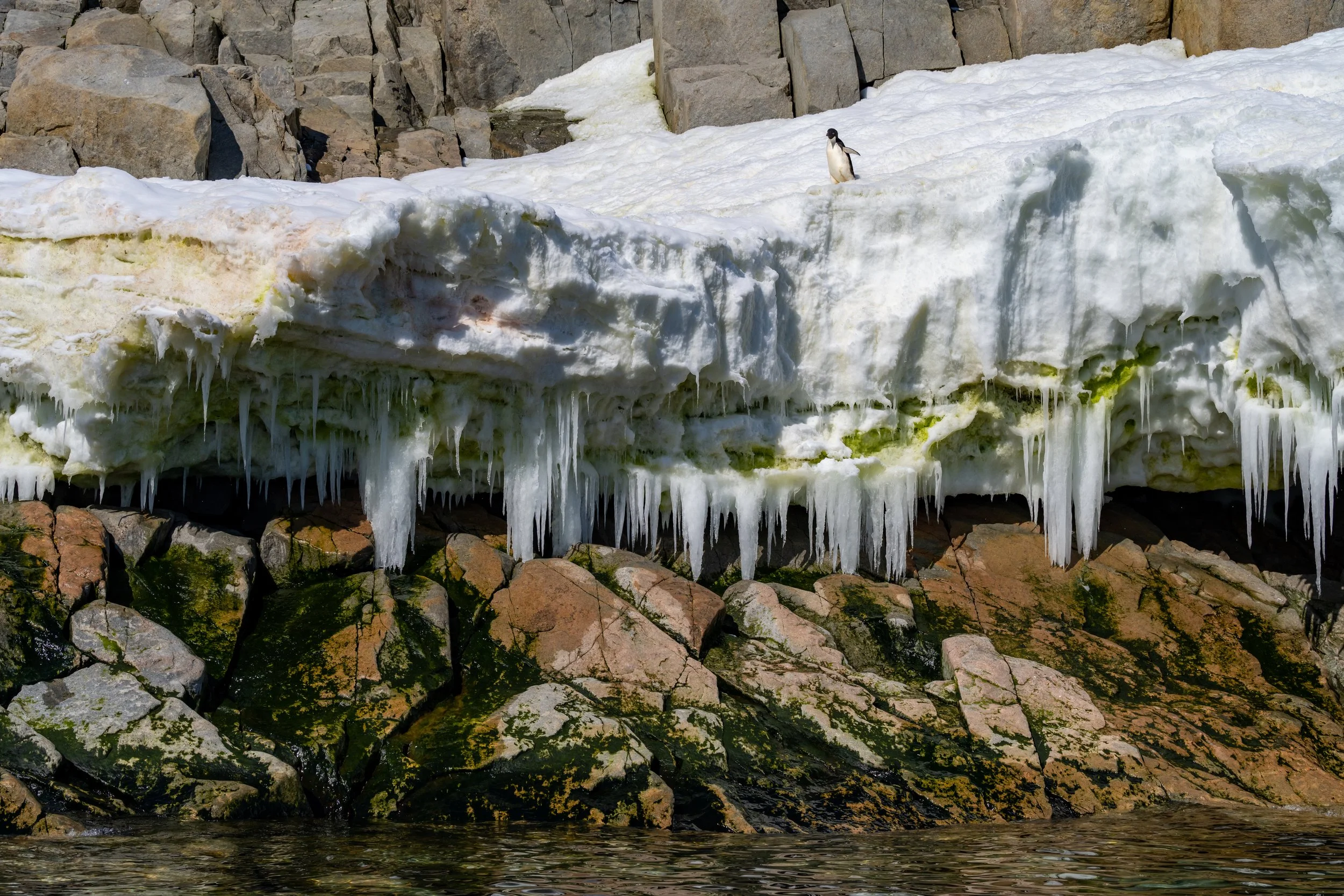 C46 - Late January boat cruise through to O'Brien Bay on the southern side of the Bailey Peninsula 