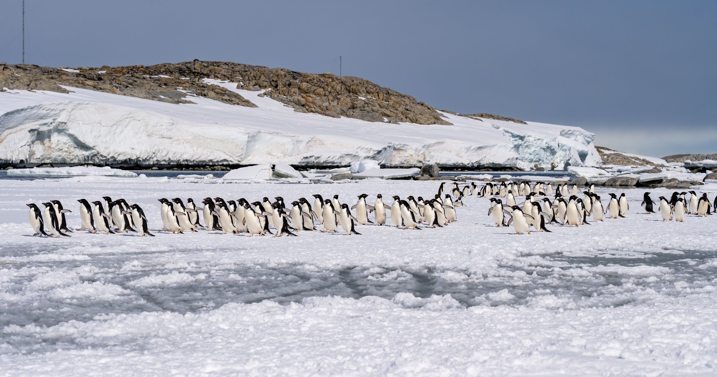 DSC_8142.JPG
