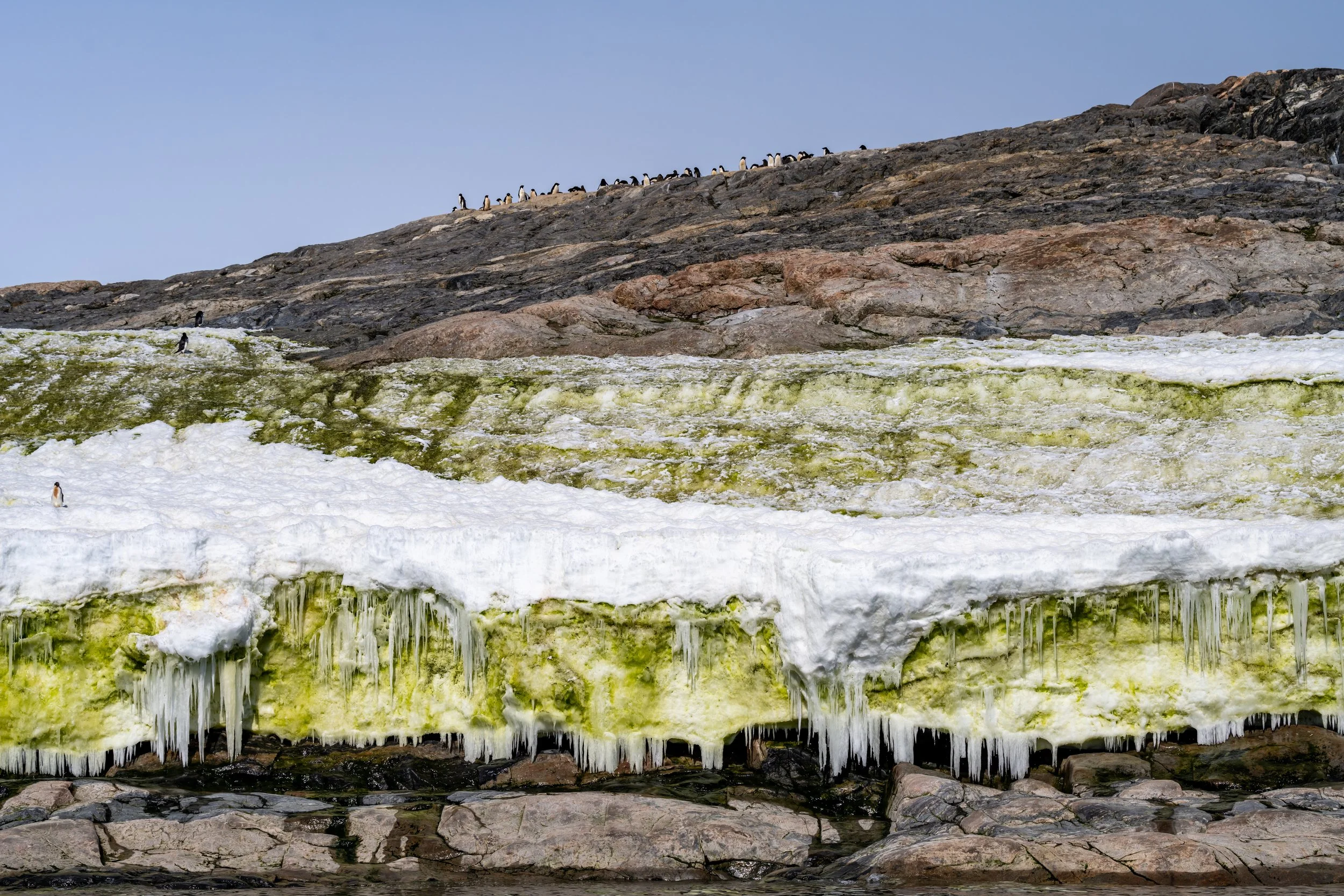 C52 - During a late January boat cruise through to O'Brien Bay on the southern side of the Bailey Peninsula