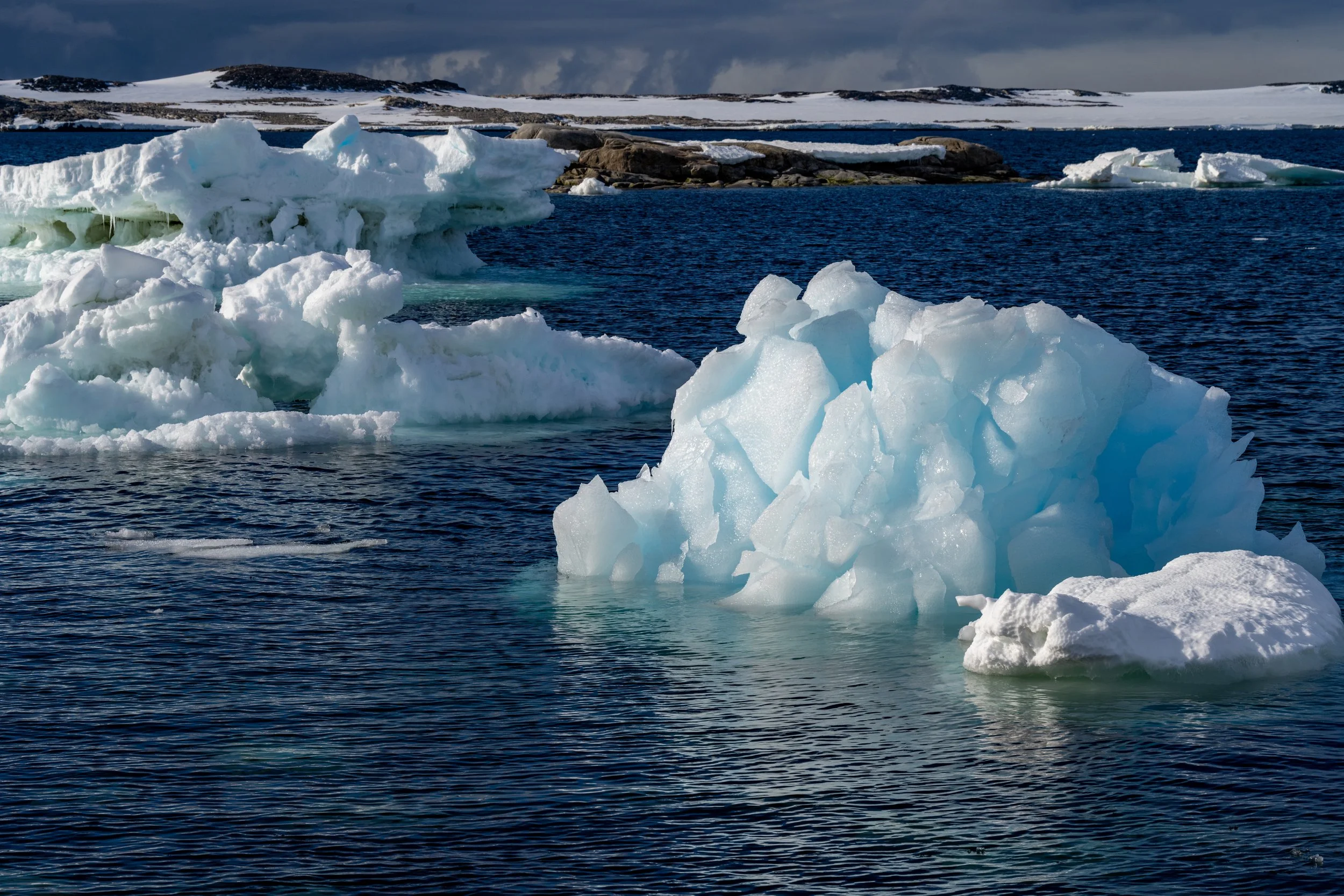 C65 - Small ice bergs in  Brown Bay, near Casey wharf