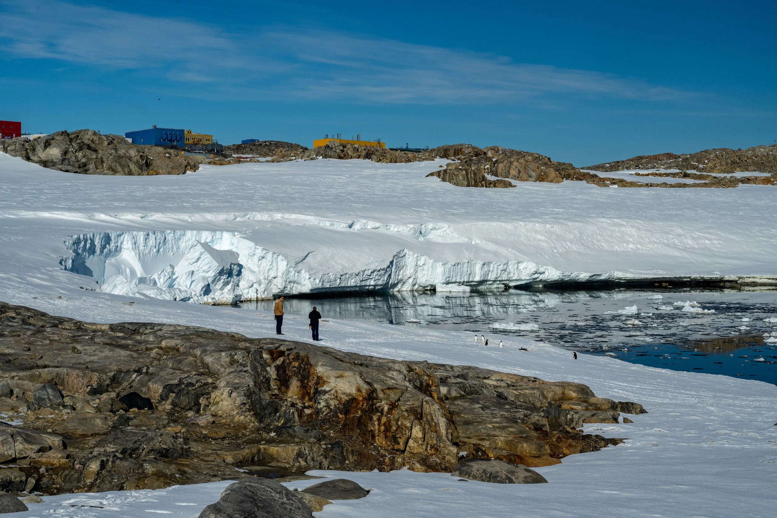 C77 - Unstable Ice cliffs in Geoffrey Bay just down from Casey Station