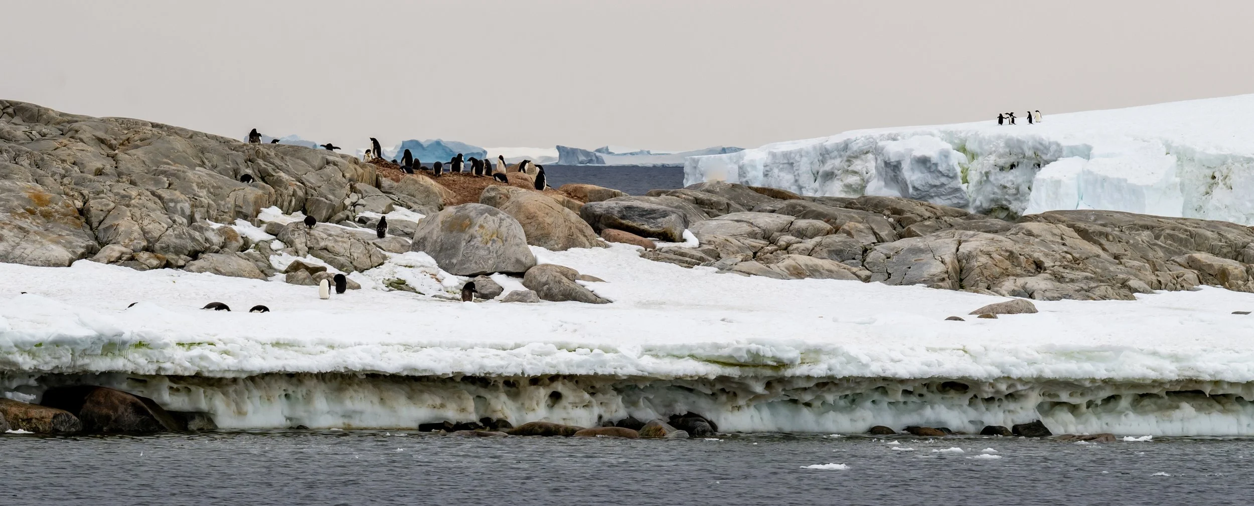 C85 - The view across Shirley channel at penguins on Shirley Island and the ice bergs beyond