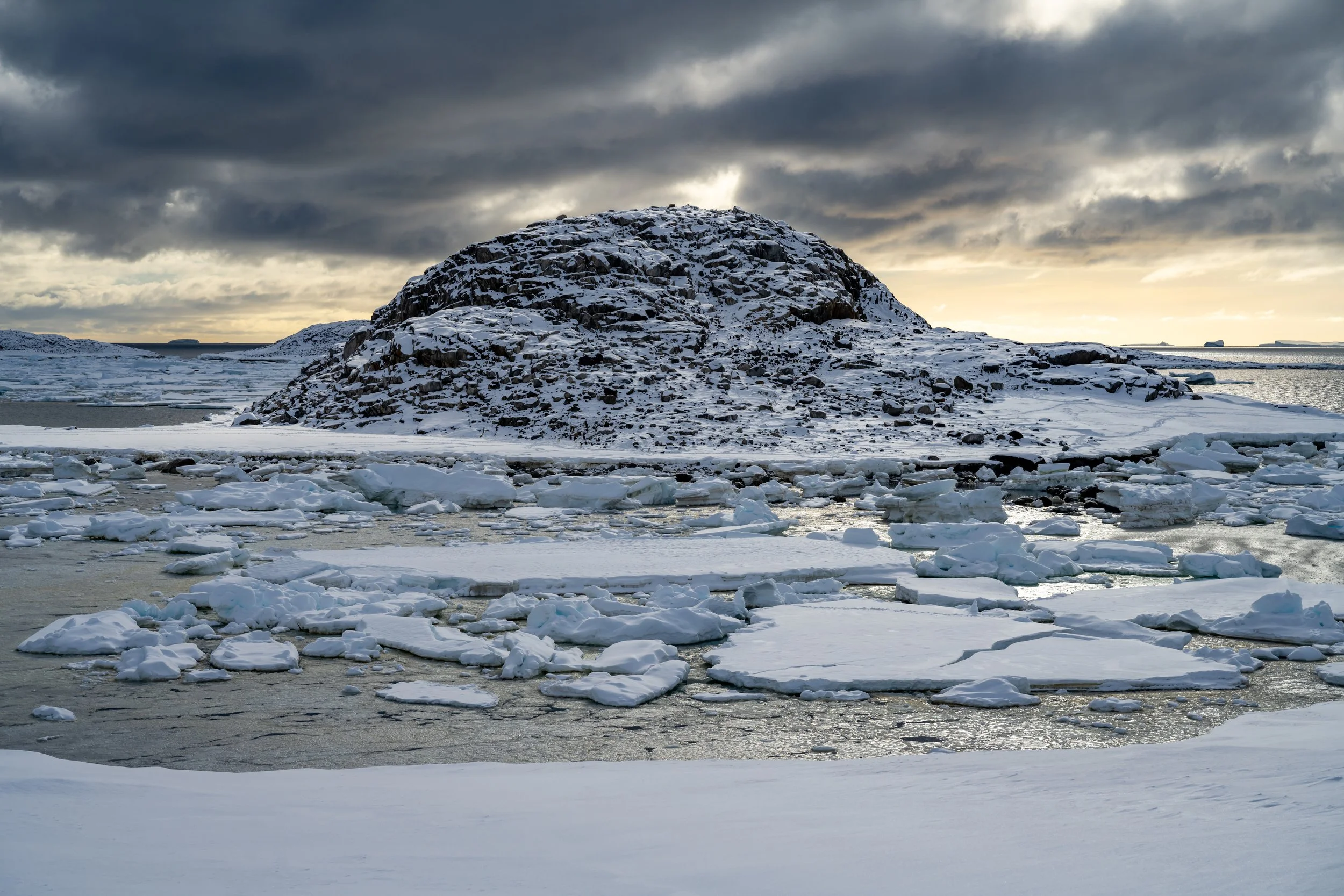 C87 - Budnick Hill in Newcomb Bay near Casey Station 