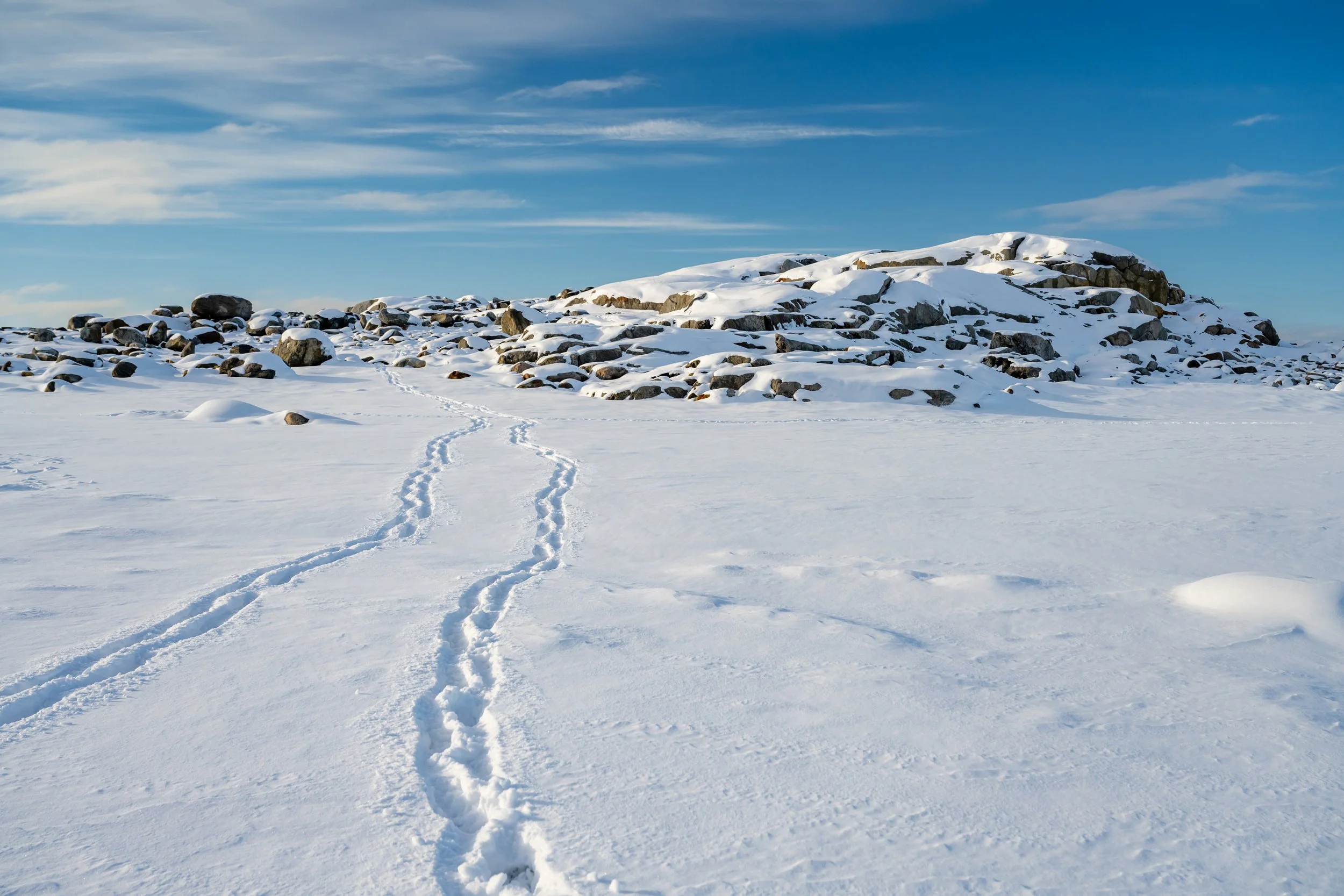 C93 - A walk on the fresh snow near Casey wharf