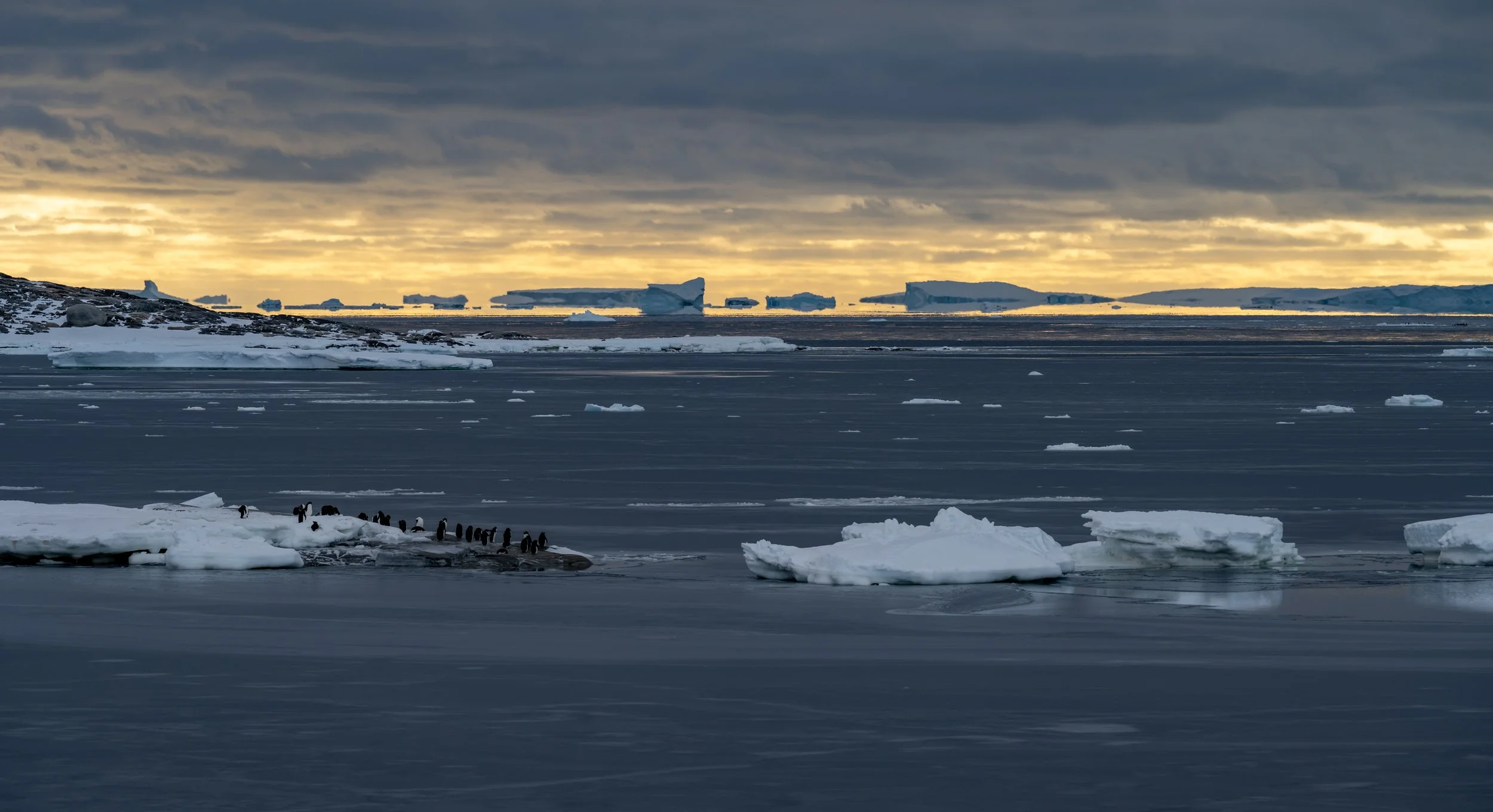 C120 - From Casey Station - Looking across at penguins on McMullin Island and the distant ice bergs in Newcomb Bay 
