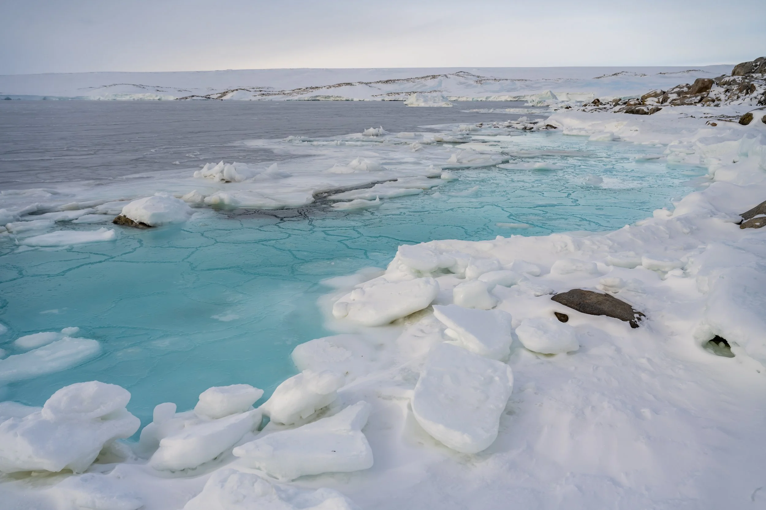 C179 - Sea ice starting to form in Newcomb Bay, near the Casey wharf