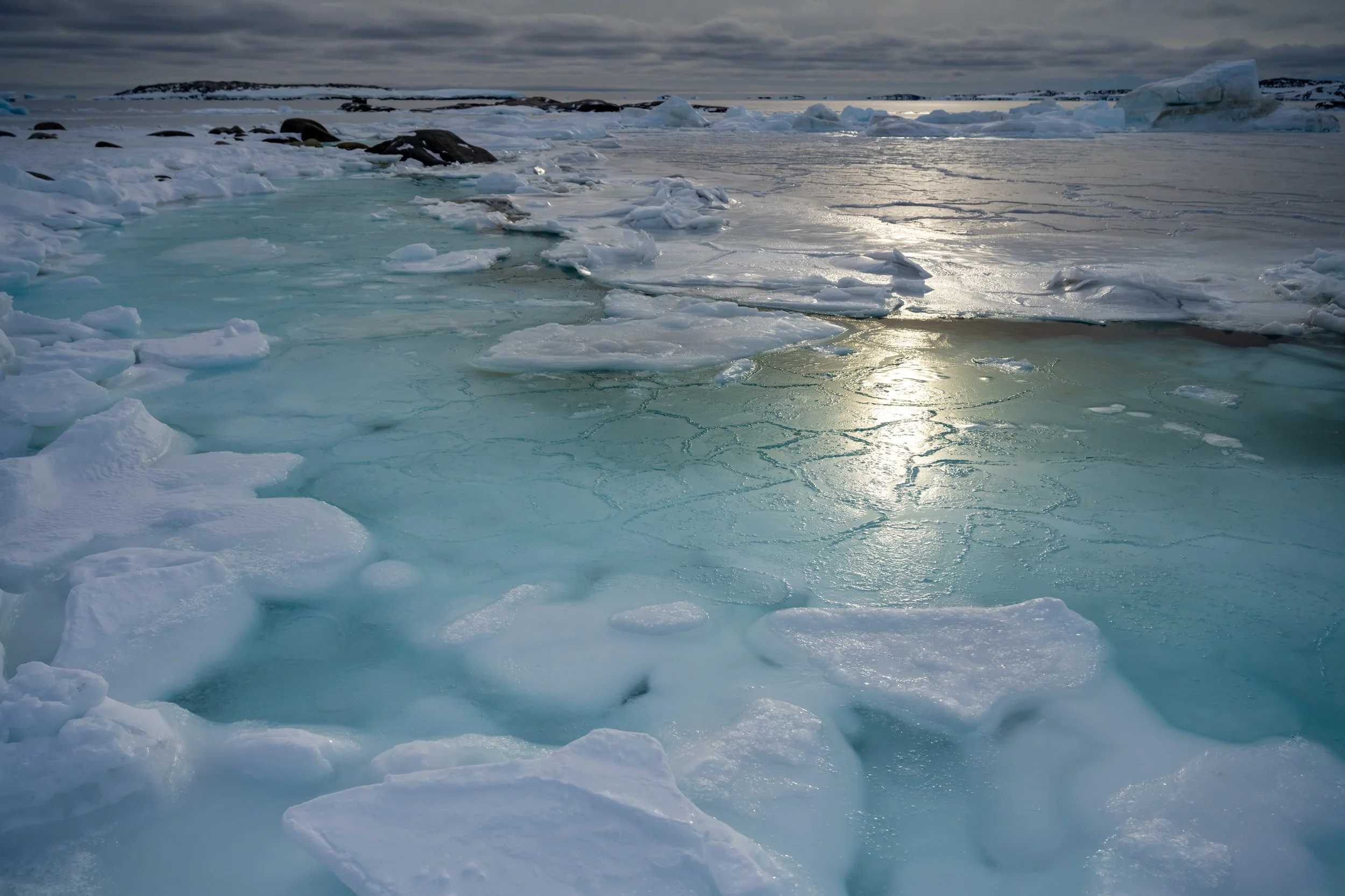 C221 - Sea ice starting to form in Newcomb Bay, near the Casey wharf