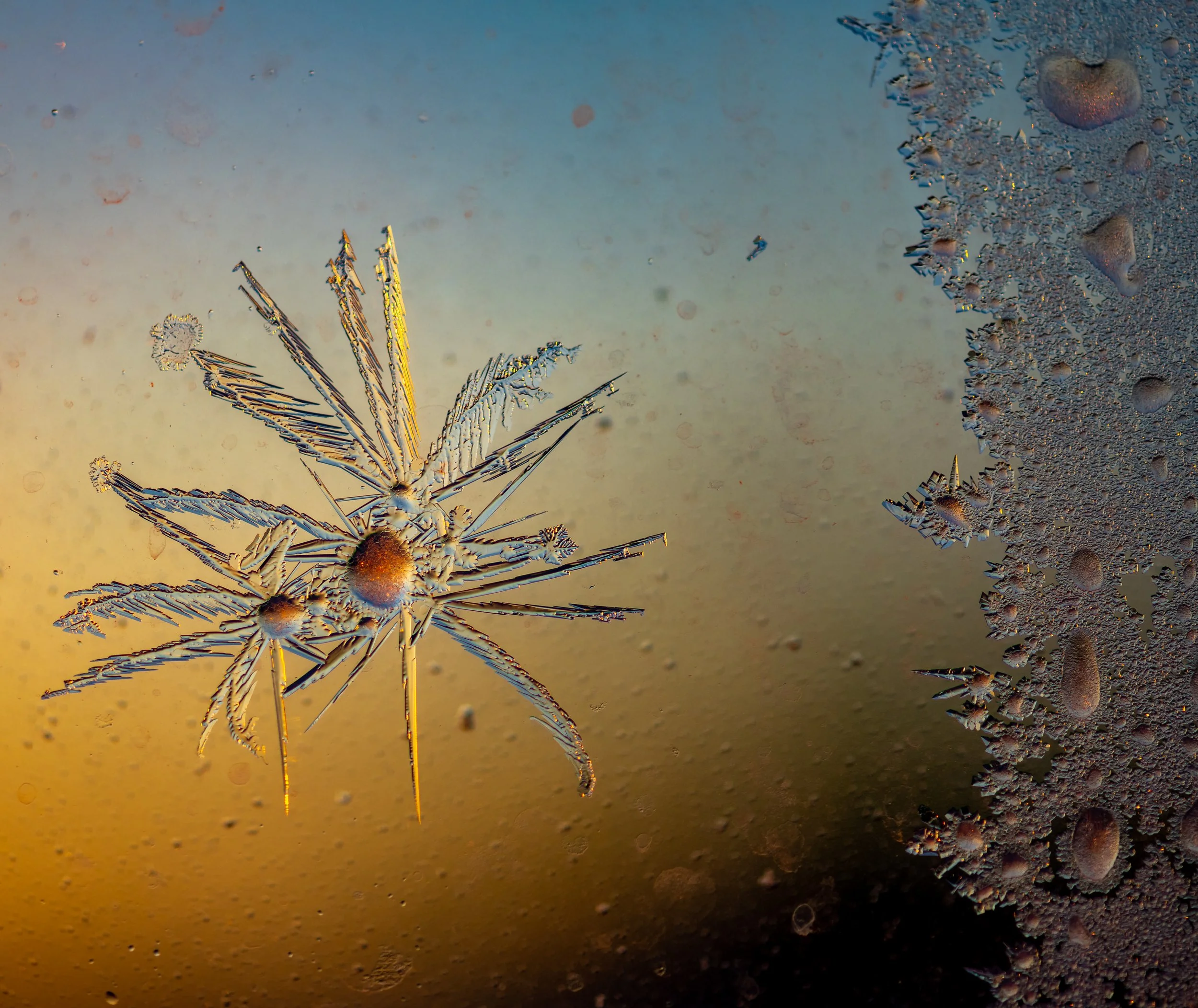 C324 - Ice Crystals on the inside of the triple glazed windows