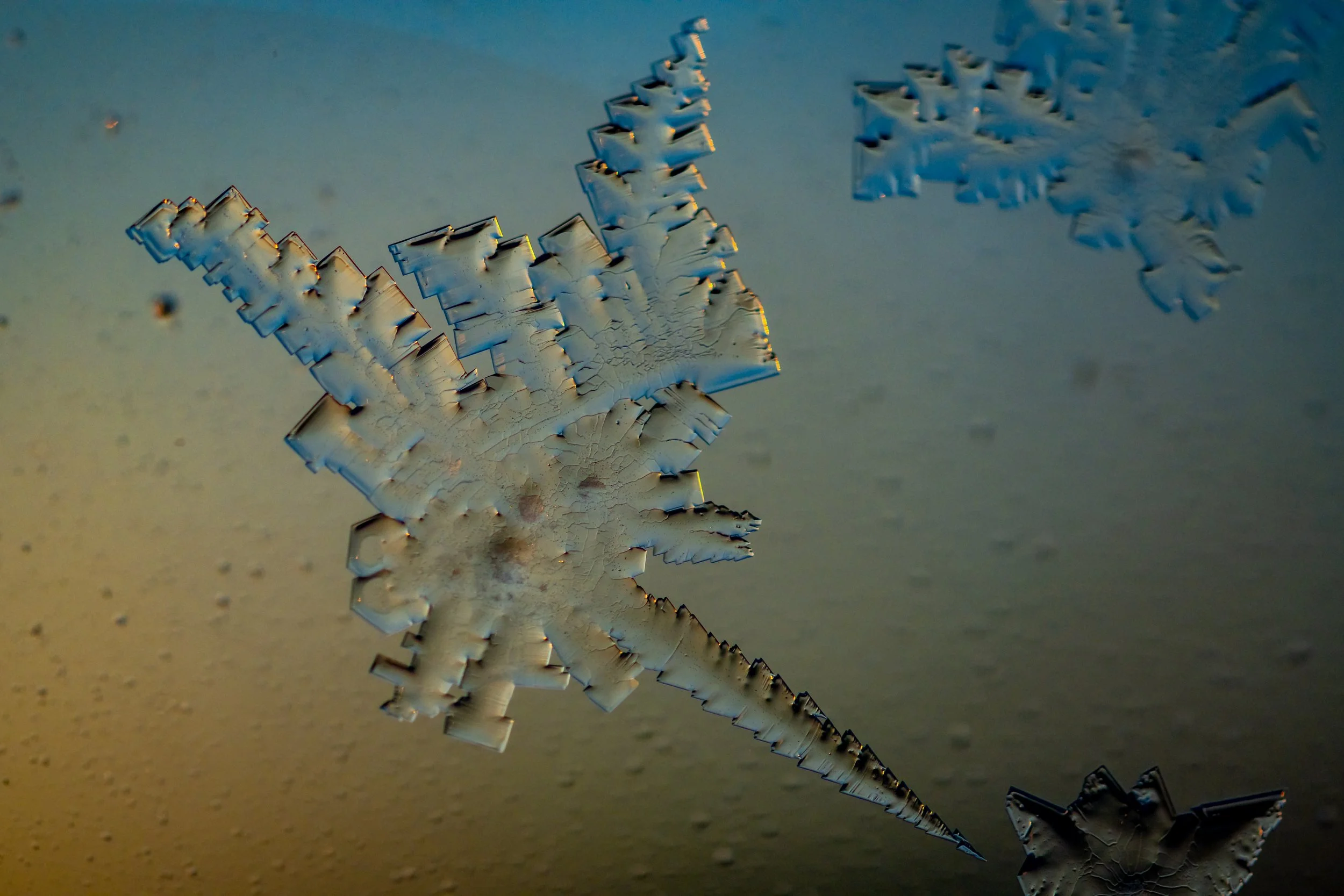 C399 - 16th of July 10:49 am - Ice Flowers in the triple glazed windows of Casey Station
