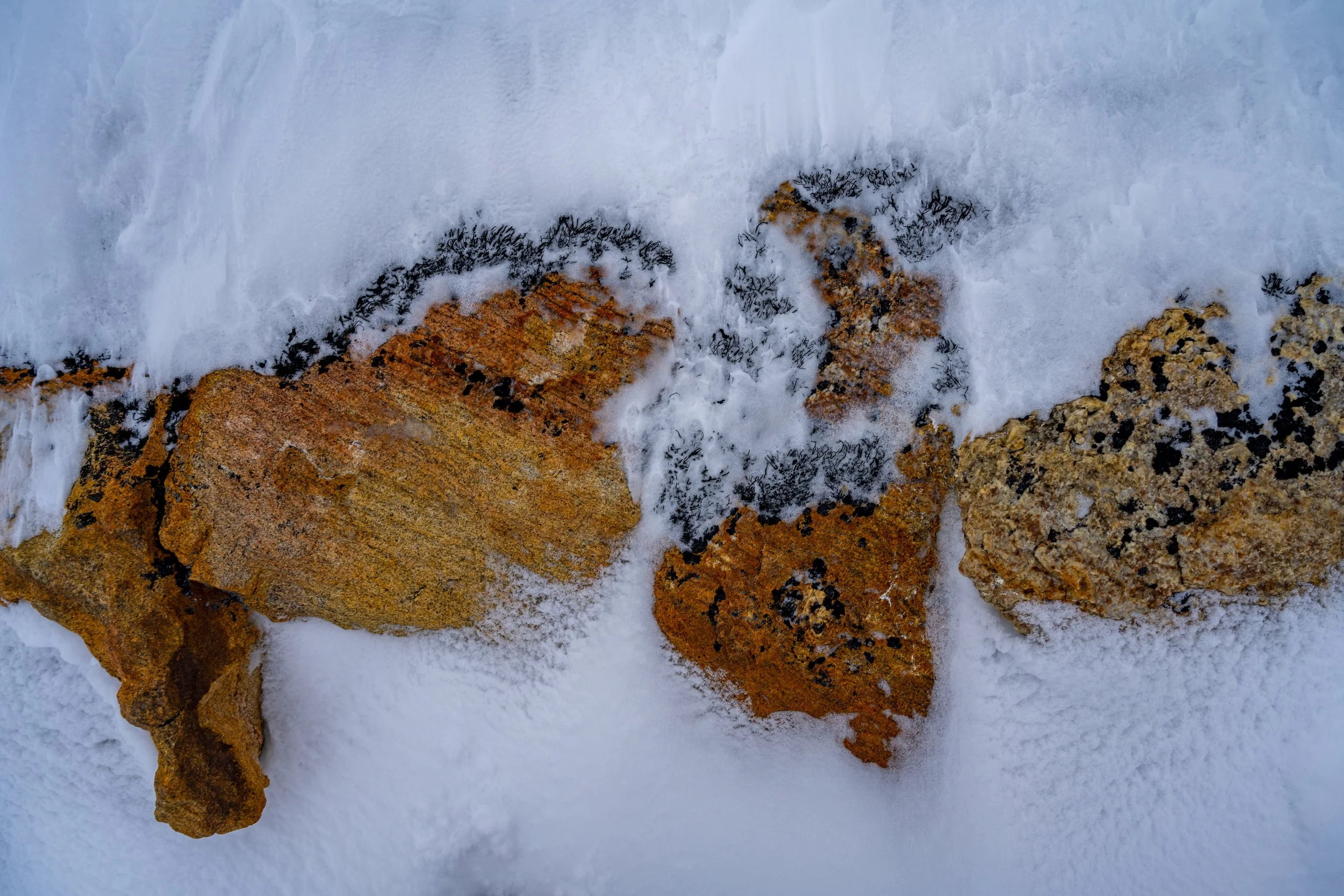 C525 - 15th of September 5:33 pm - Moss and lichen covered rocks behind the Red Shed