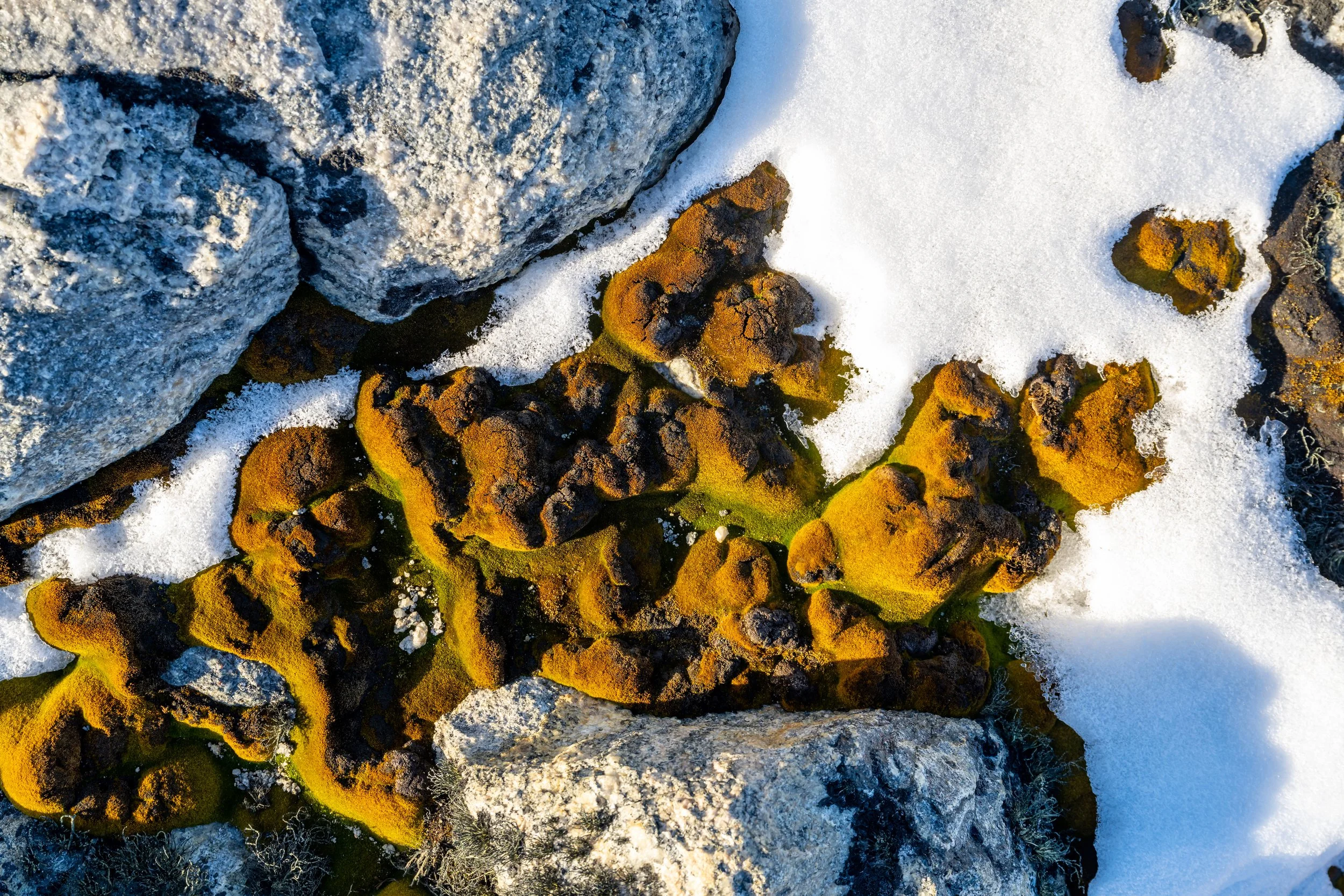 C567 - 30th 0f October 8:32 pm - The Moss beds behind the Red Shed