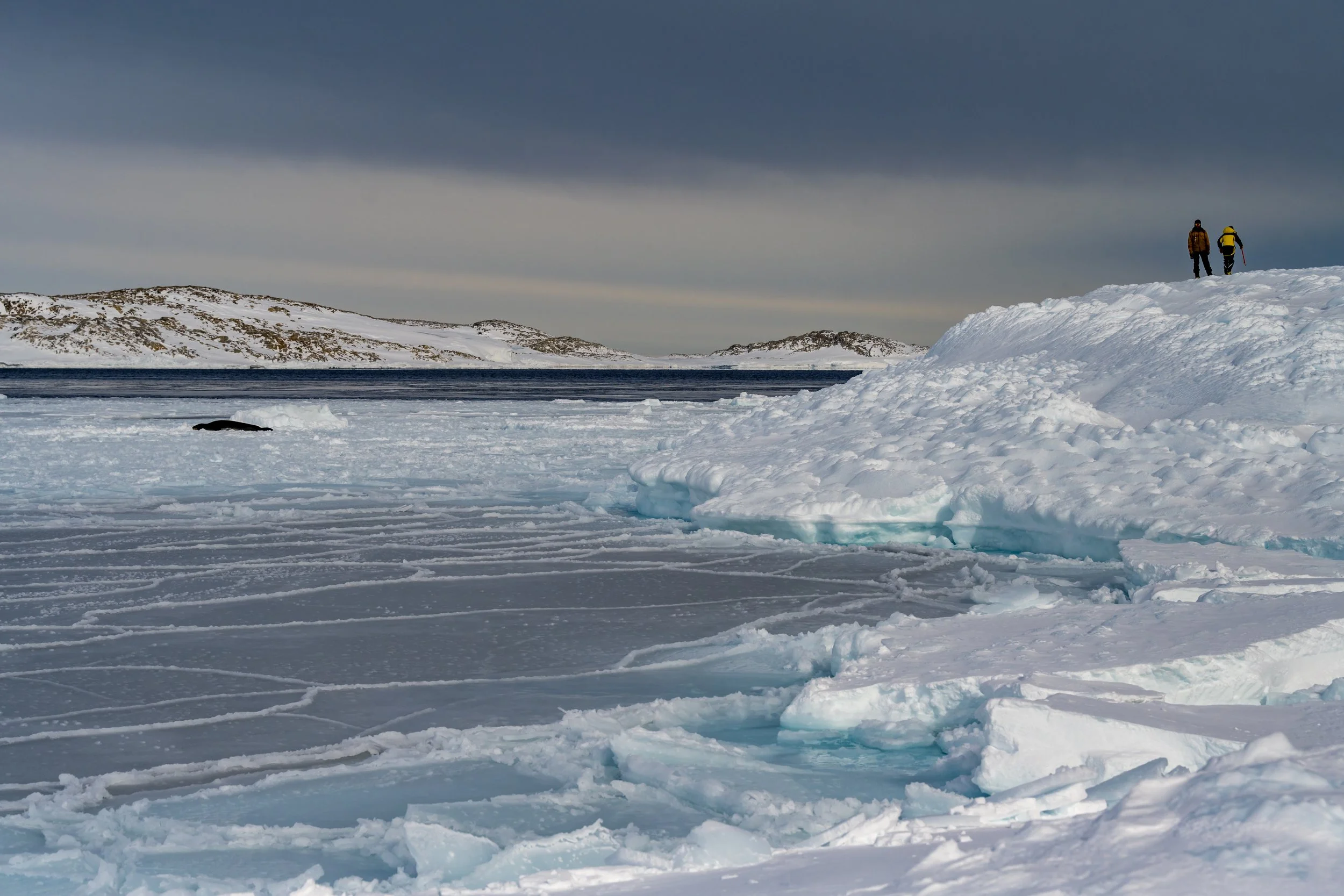 C569 - 9th of October 12:22 pm - Leopard seal on the sea ice of the Shirley Island Channel
