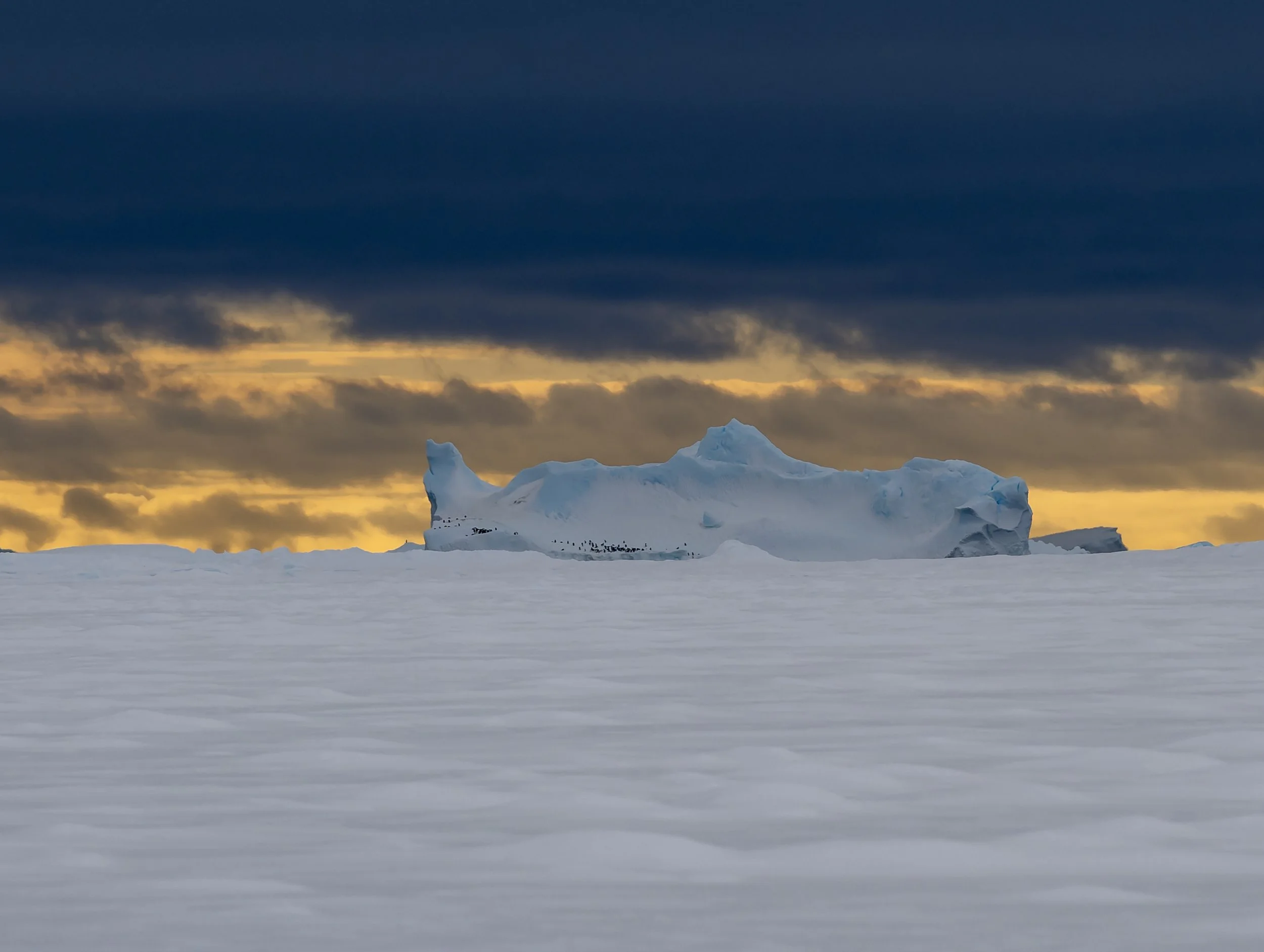 C597 - 21st of October 4:54 pm - Penguins on a distant iceberg, on a walk on the sea ice amongst the Swain Group of Islands 