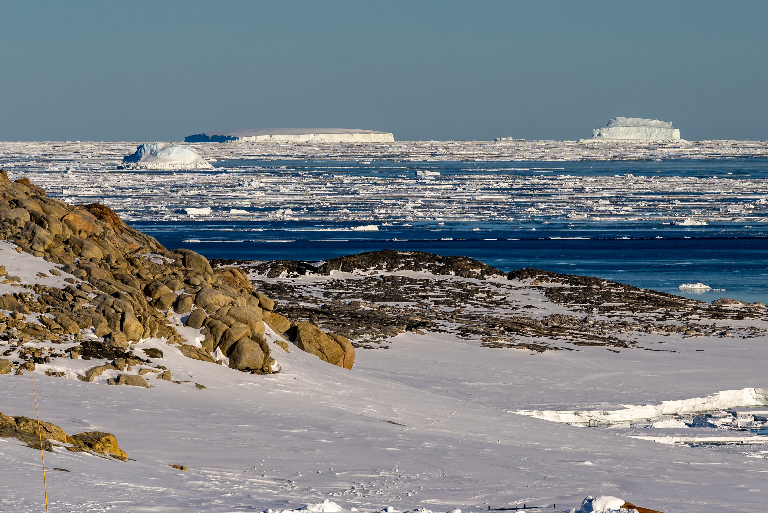 C645 - 19th of November 2022 9:28 am - Icebergs in Newcomb Bay
