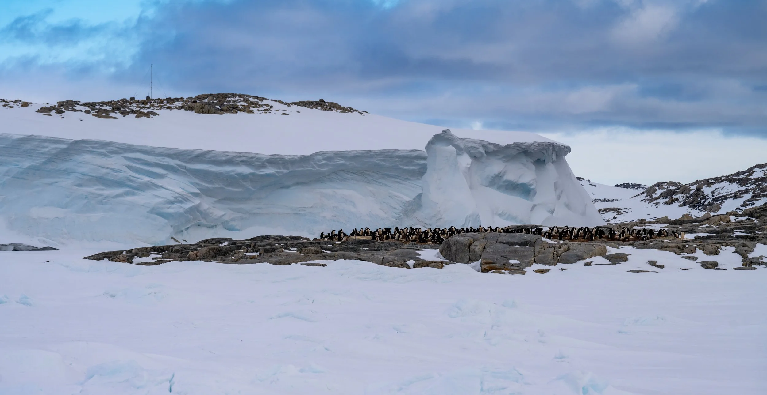 C657 - 3rd of November 2022 7:11 pm - Adélie penguin colony  on Shirley Island with the ice cliffs on the Bailey Peninsula across the channel