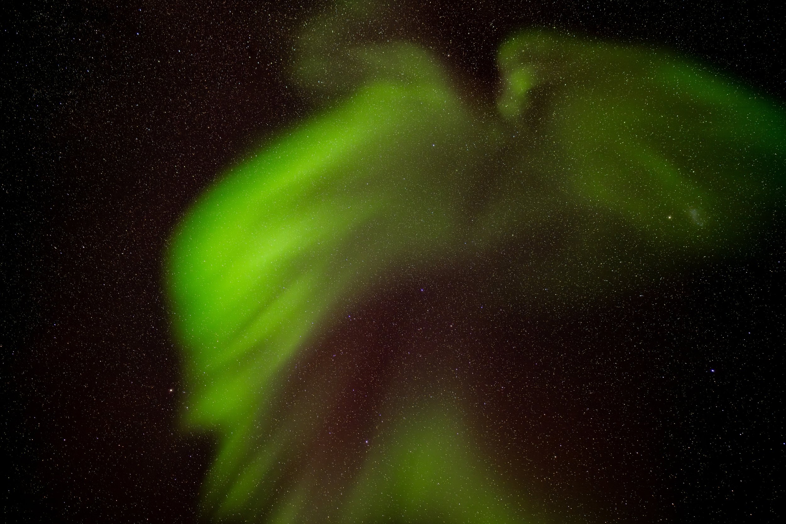 Cas AA 169 - 20th of August at 00:06 pm. Nikon Z7 ii 20mm f/1.8 lens, ISO 320 exp 15 sec