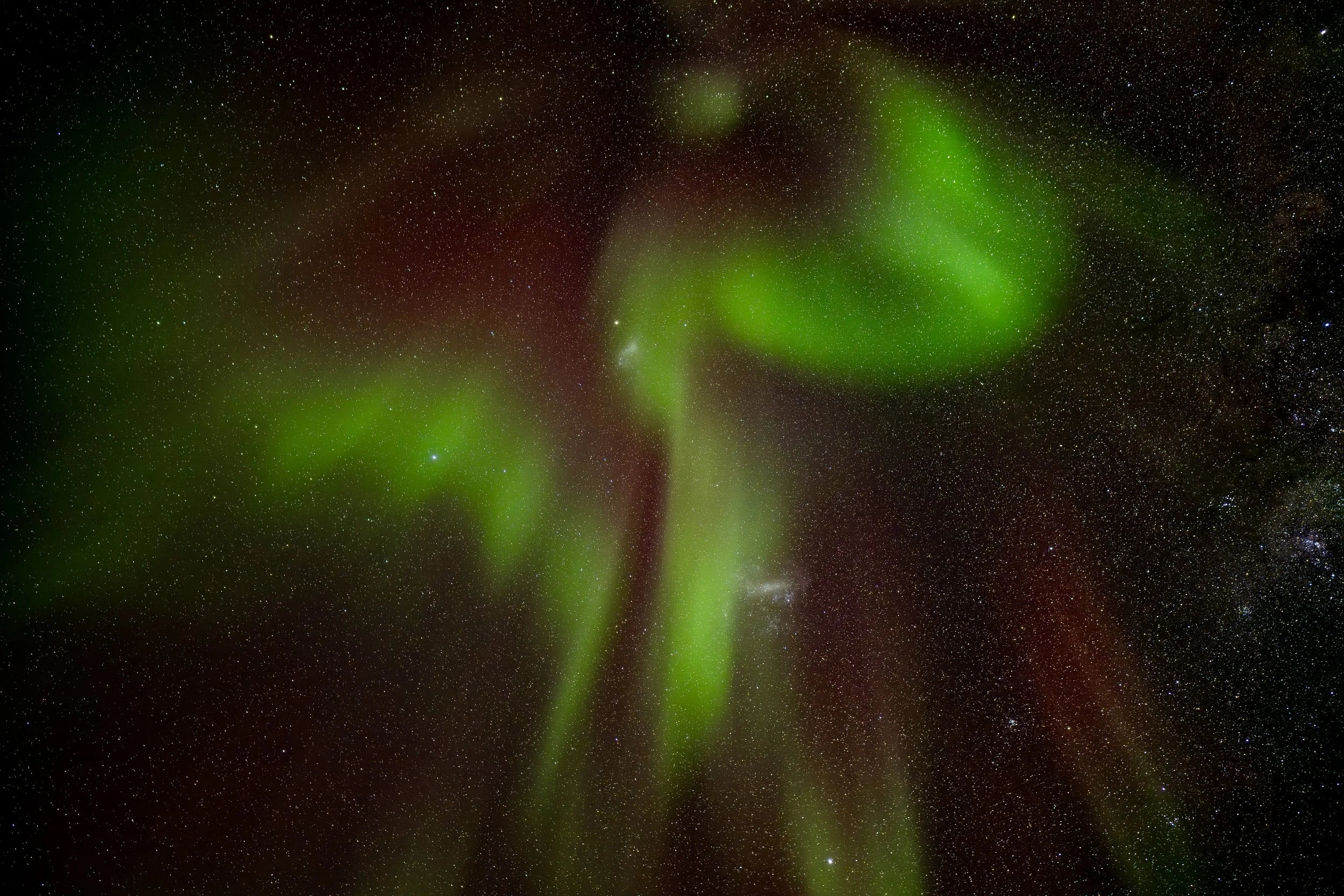 Cas AA 189 - 20th of August at 00:12 pm. Nikon Z7 ii 20mm f/1.8 lens, ISO 320 exp 15 sec