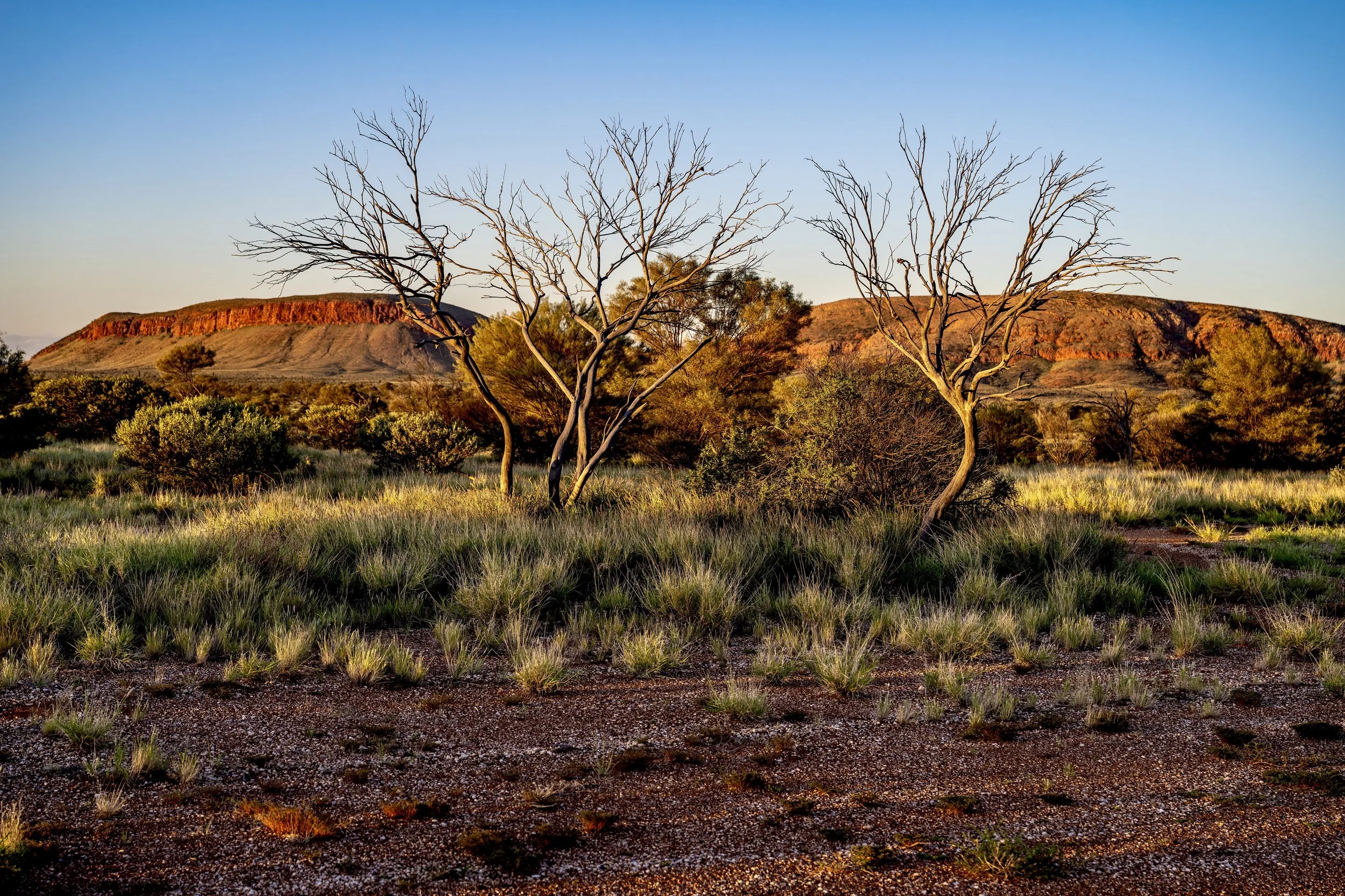 G004- 27th of November 2024 18:43- Golden hour view from Giles to the Purli Yurliya (Rawlinson Ranges)